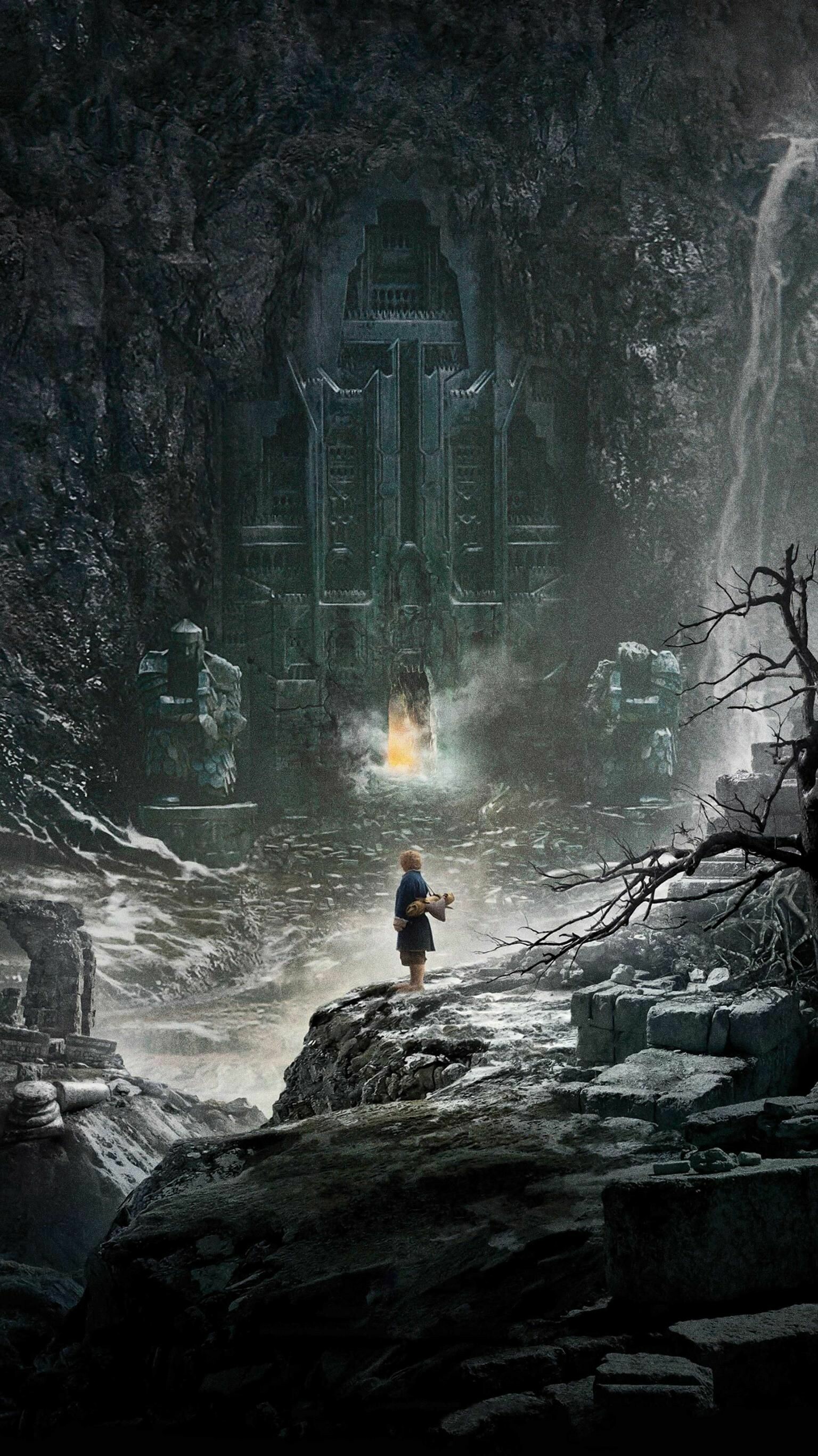 The Hobbit: The Desolation of Smaug, 2013 film, Trilogy. 1540x2740 HD Background.