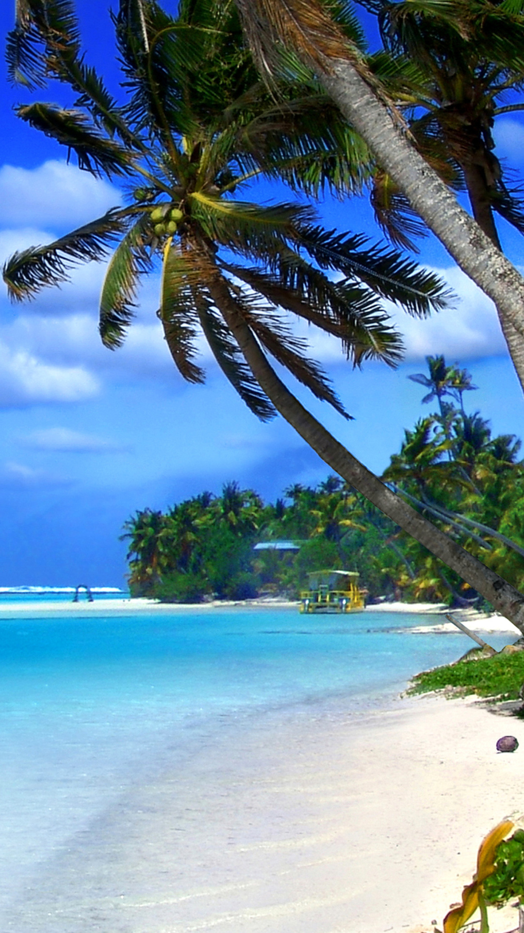 Cayman Islands, Travels, Beach on Cayman islands, 1080x1920 Full HD Handy