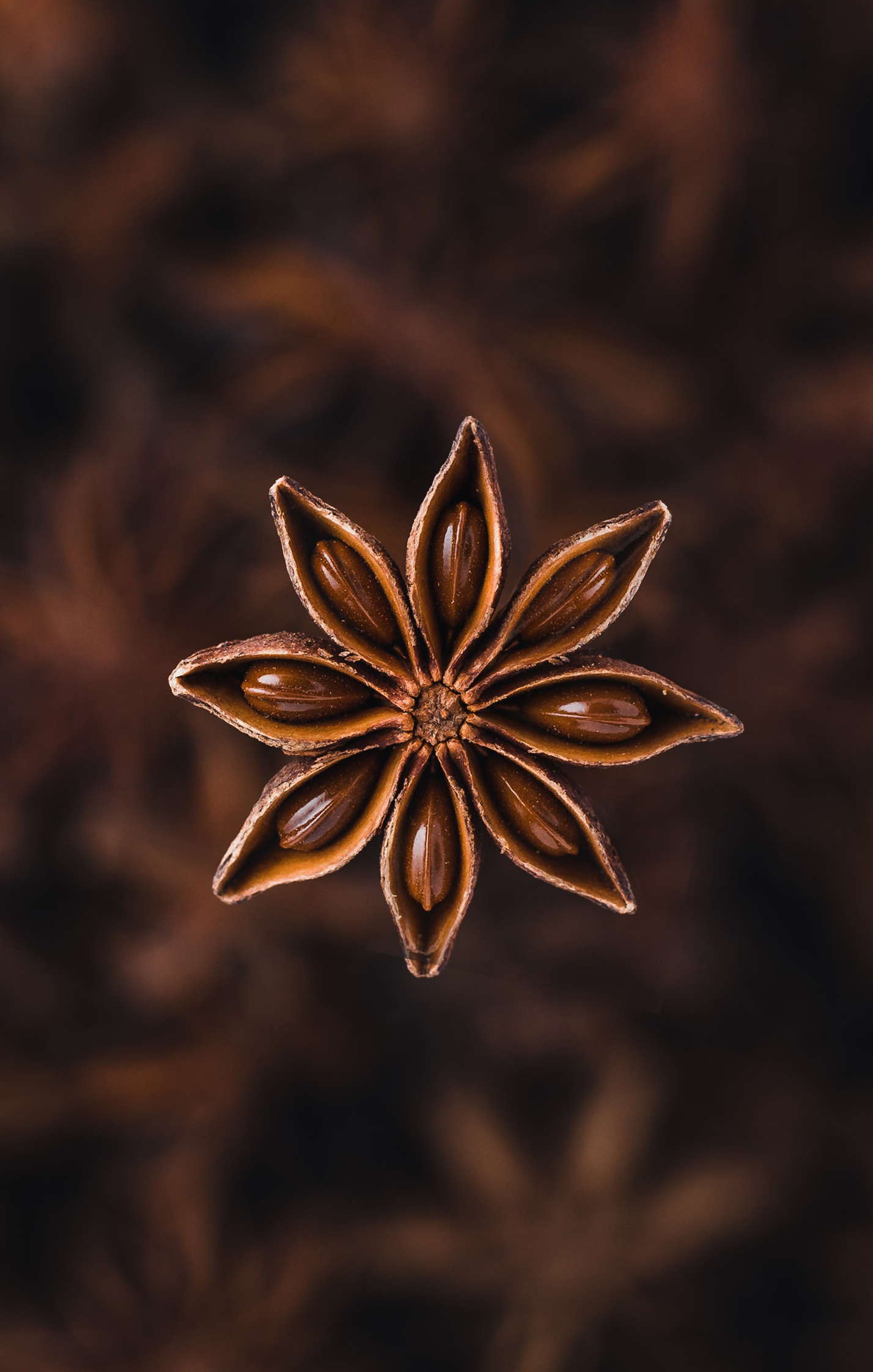 Star anise, Exotic spice, Distinct flavor, Culinary use, 1430x2250 HD Handy