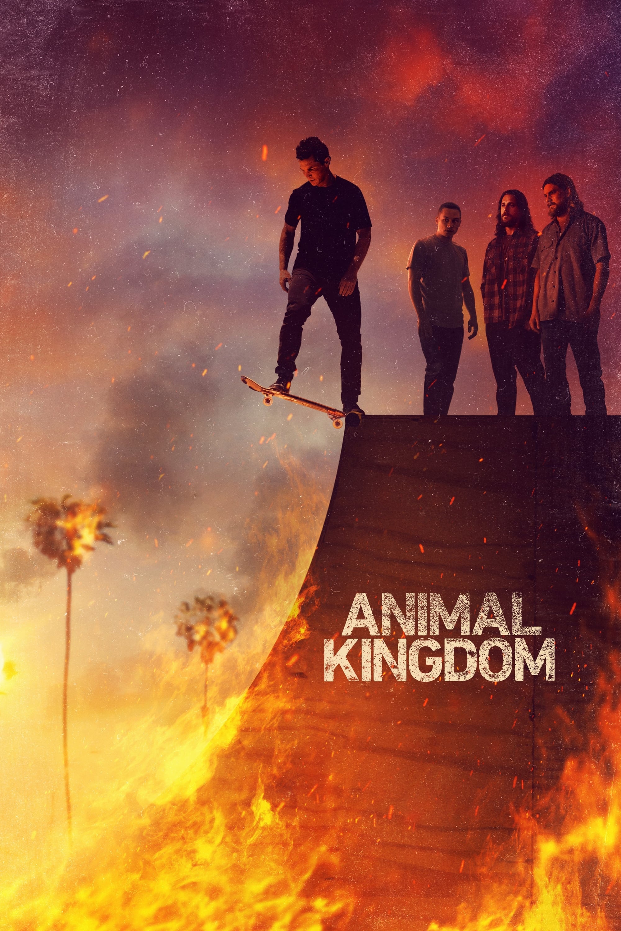Animal Kingdom, TV series 2016, Posters, The Movie Database, 2000x3000 HD Handy