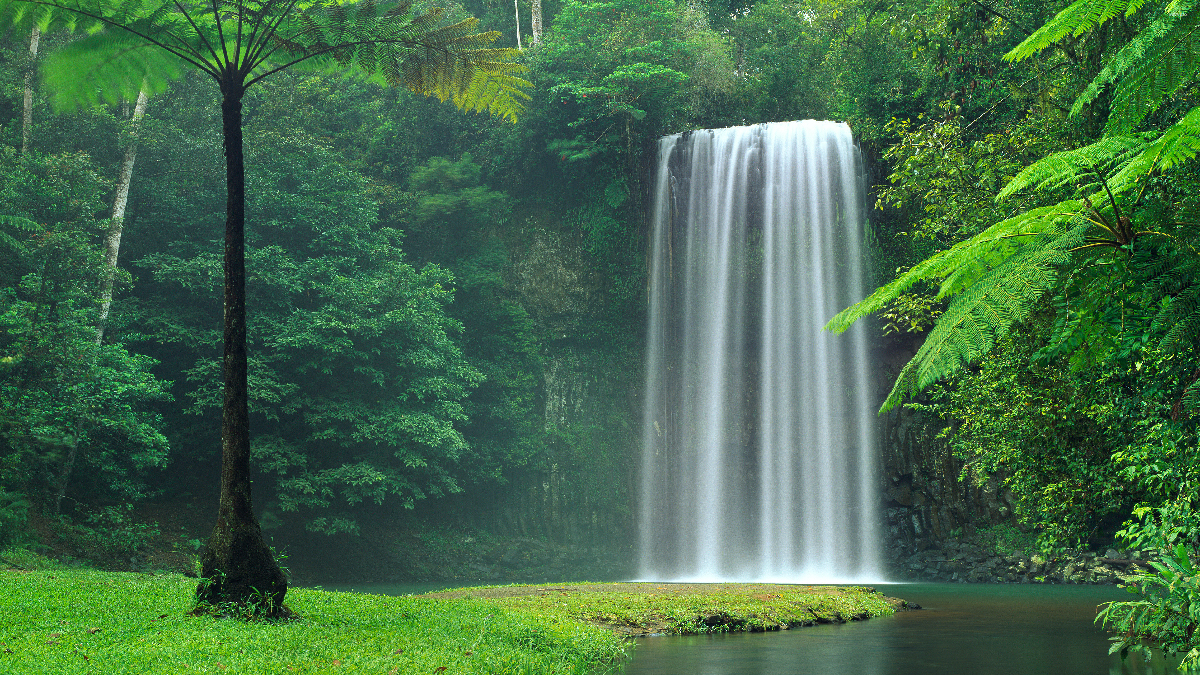 Waterfall: Mystic forest, Beauty of nature, Spring, Ecoregion. 3840x2160 4K Background.