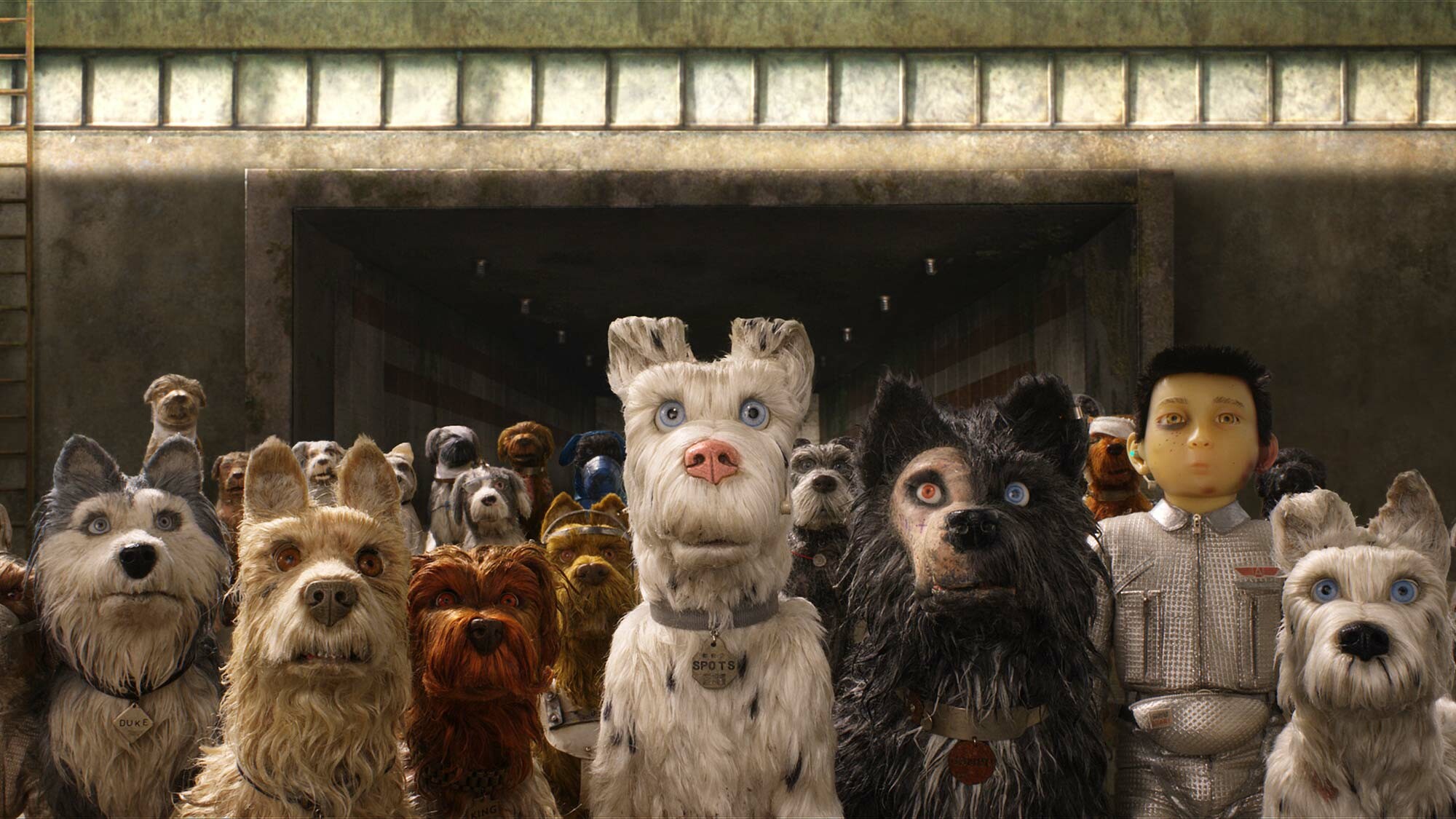 Isle of Dogs: Dystopian movie, Set in a futuristic version of Japan. 2000x1130 HD Background.