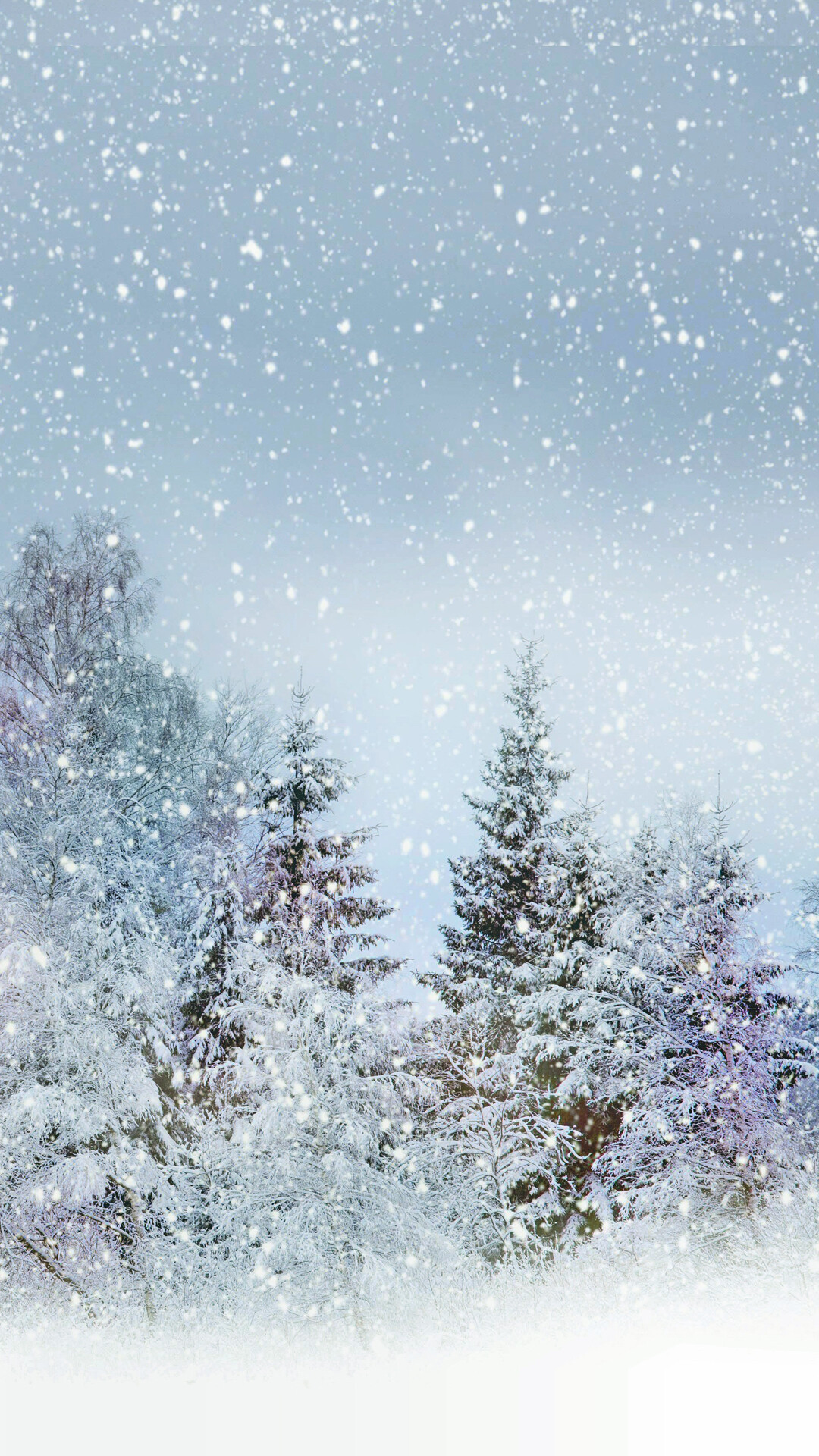 Snowfall: Providing an insulating layer during winter under which plants and animals are able to survive the cold. 1080x1920 Full HD Background.
