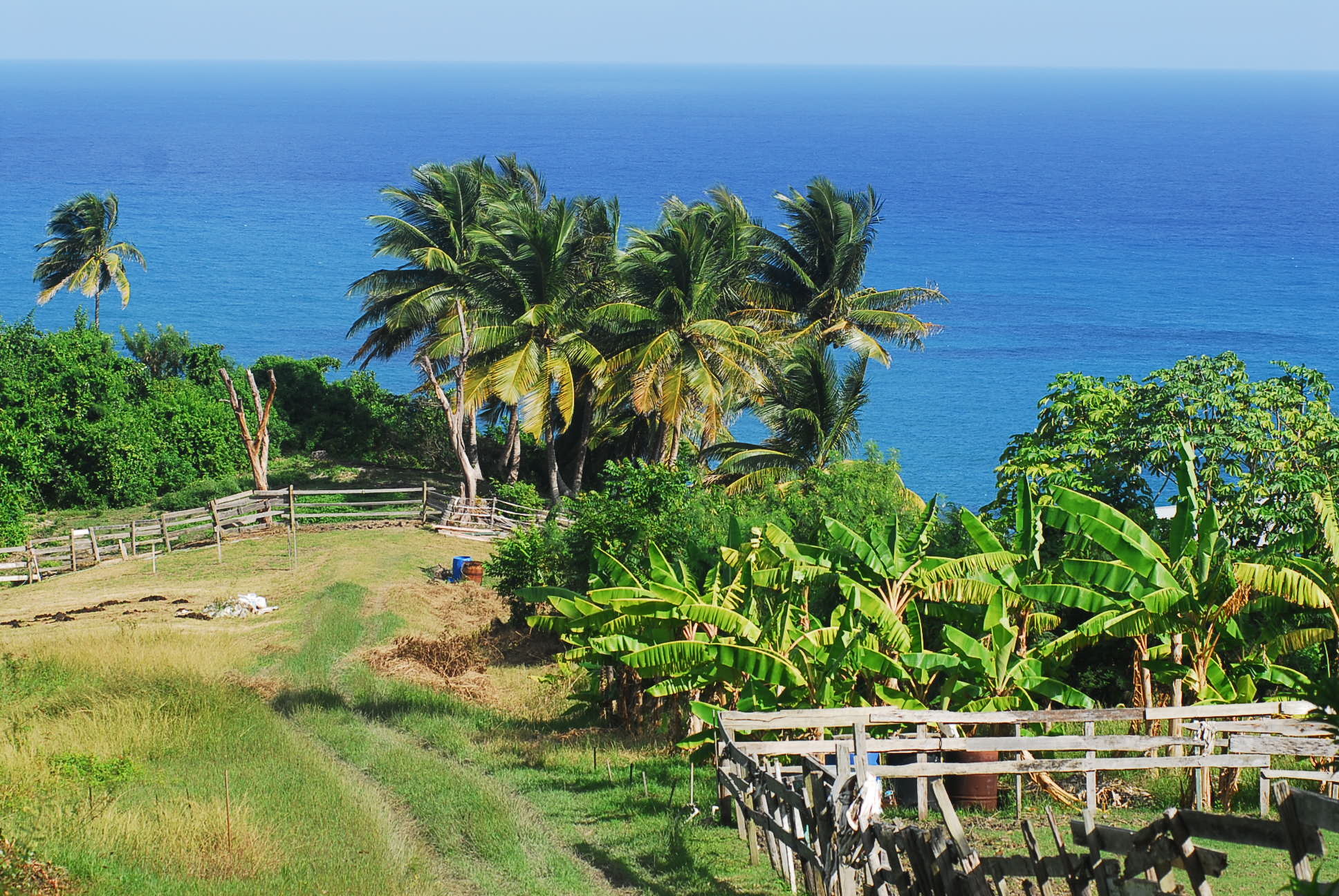 Island spirit in Barbados, Serene landscapes, Tranquil environment, Captivating scenes, 1940x1300 HD Desktop
