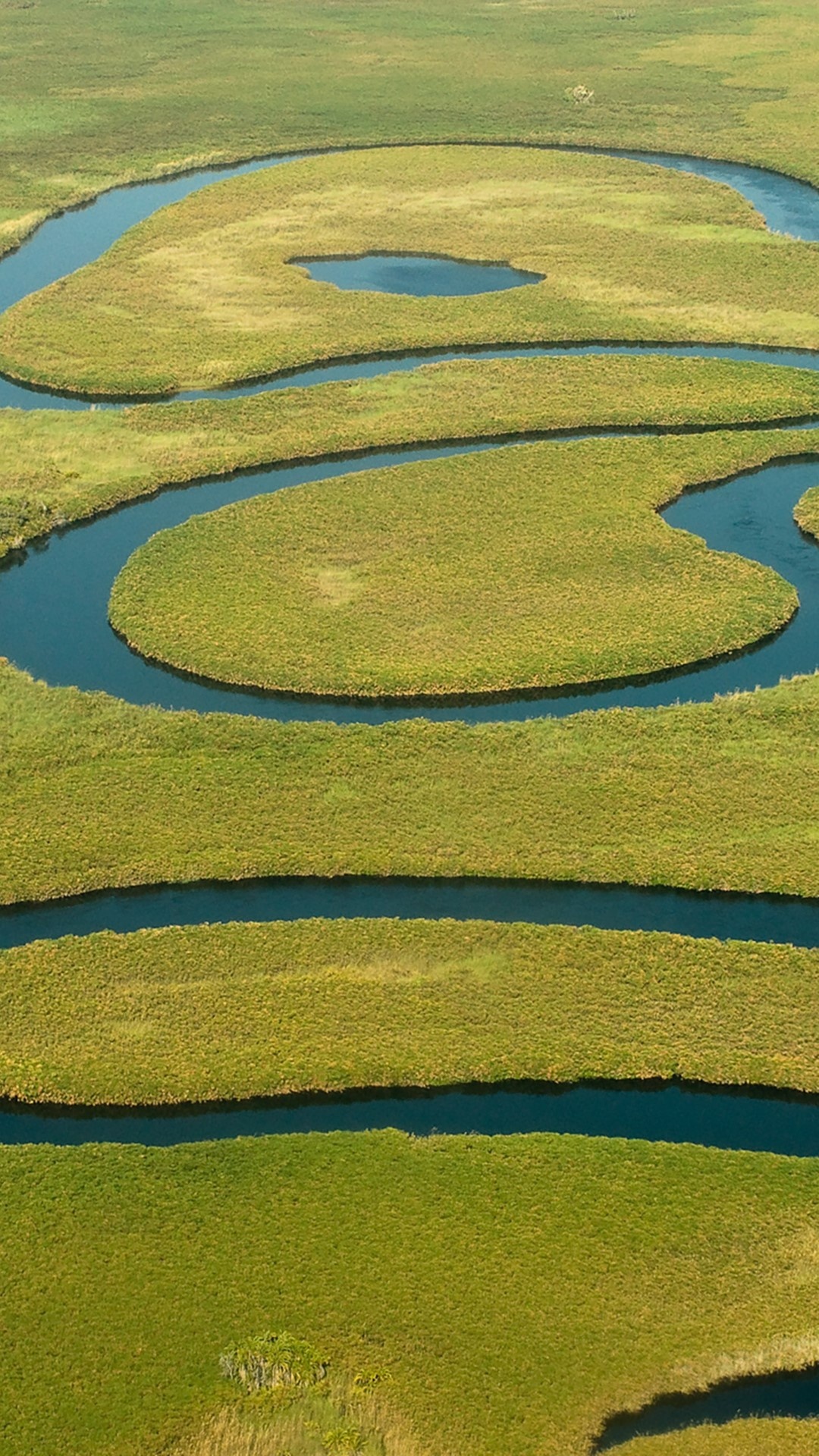 Aerial view of Okavango River branch, Botswana beauty, Windows spotlight, Nature's wonder, 1080x1920 Full HD Phone