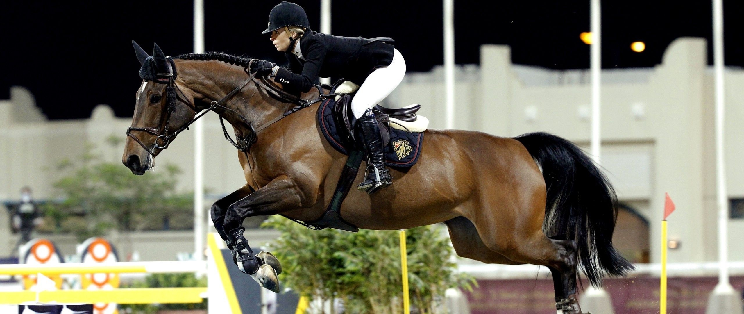 Eventing: Show jumping, A part of a group of English horse riding events that also includes dressage, hunters, and equitation. 2560x1080 Dual Screen Background.