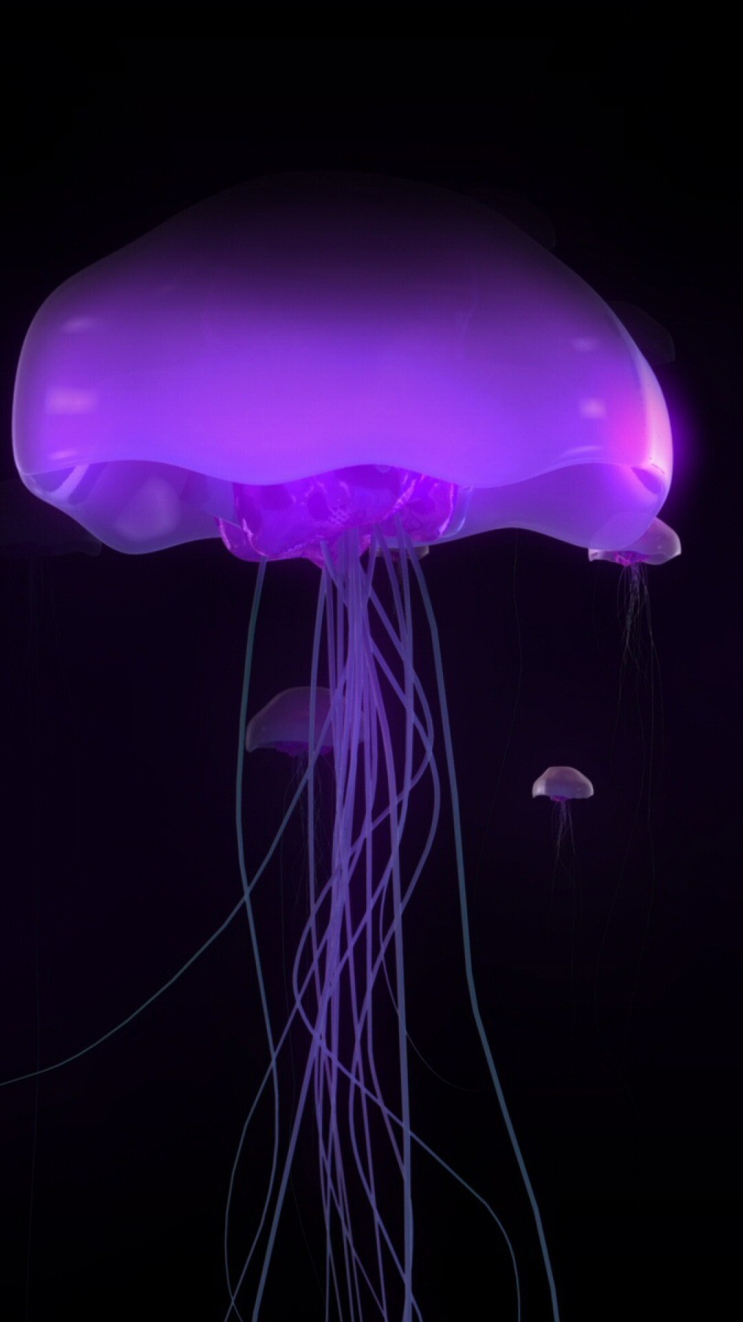 Glowing Jellyfish: Purple alien-looking creature, Translucent, moonlike bell, Trailing tentacles. 1080x1920 Full HD Background.
