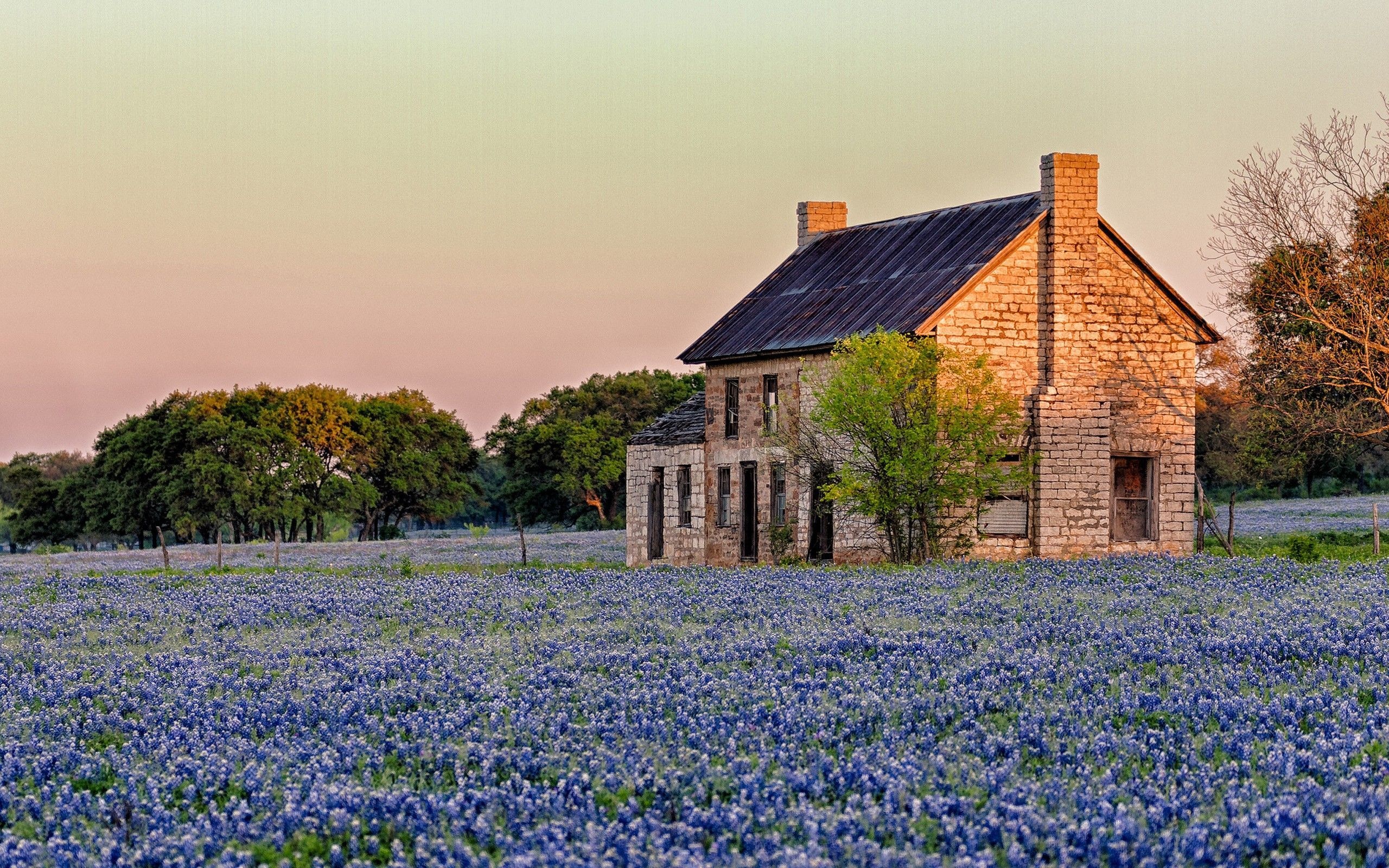 Texas Hill Country, Vivid backgrounds, Natural beauty, 2560x1600 HD Desktop