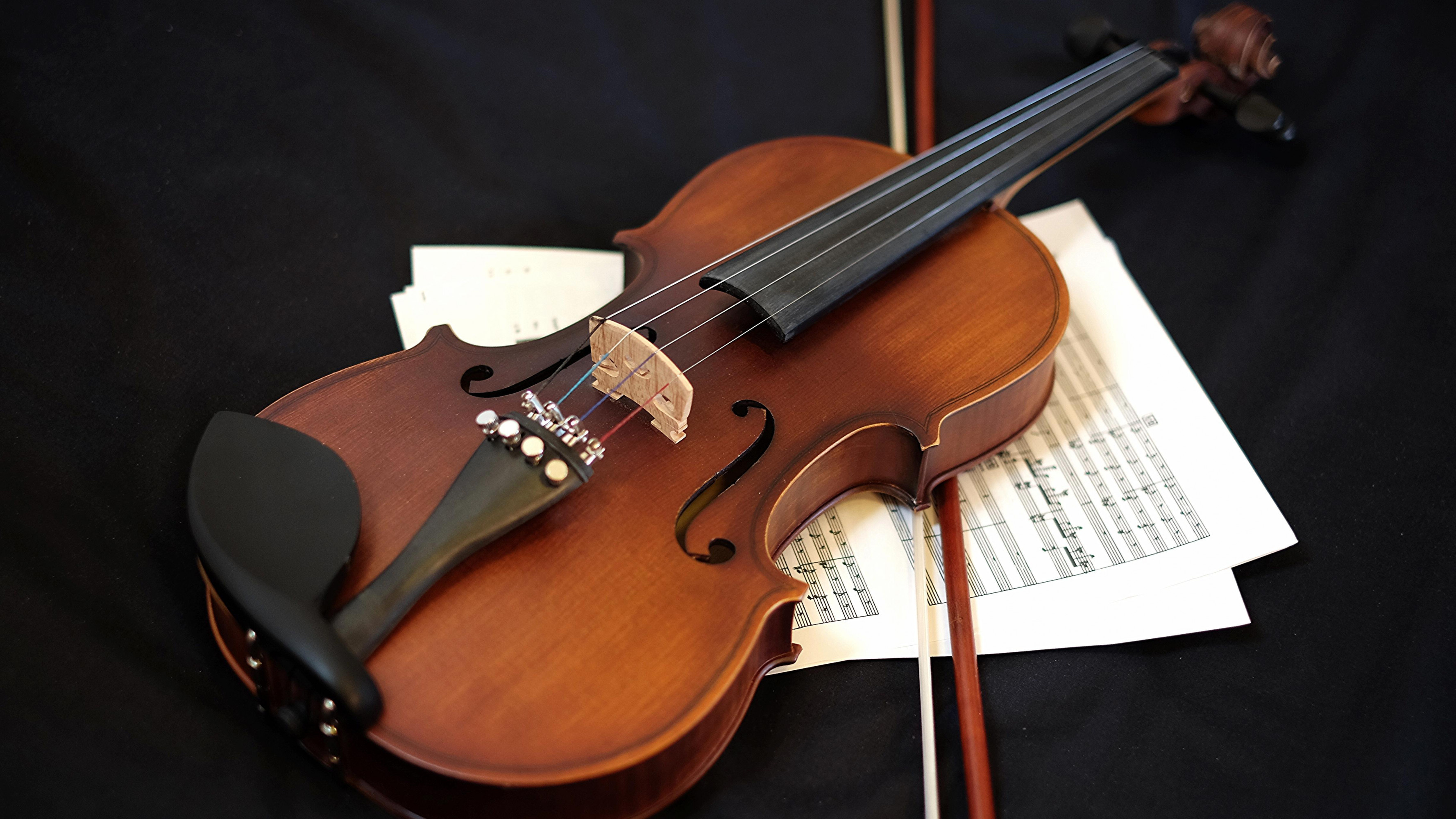 Violin: F-Holes, Upper And Lower Bount, Fine Tuners, Neck, Unfretted Fingerbox, Sheet Music. 3560x2000 HD Wallpaper.