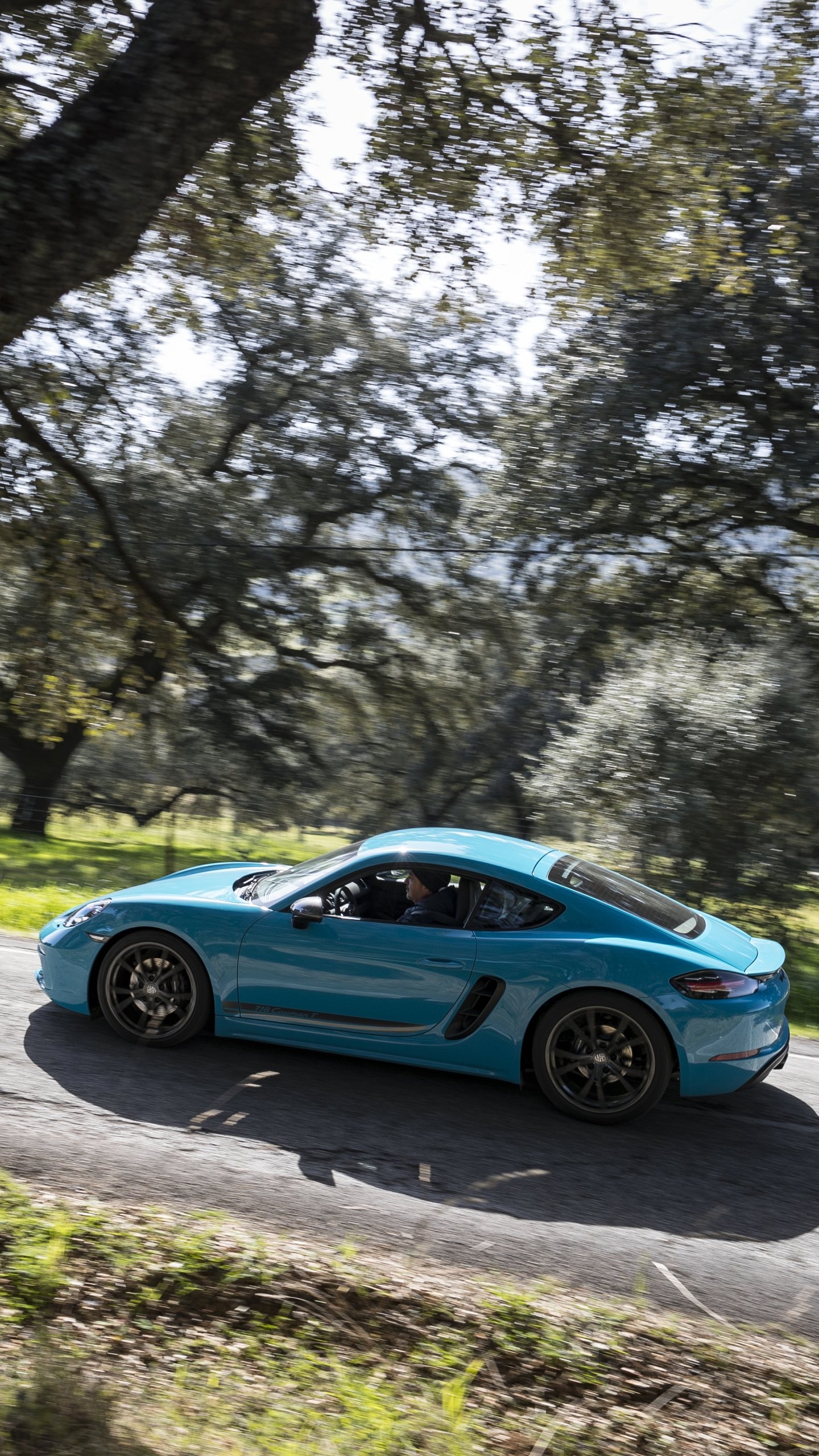 Porsche 718, Iconic sports car, Thrilling performance, Timeless design, 1440x2560 HD Phone