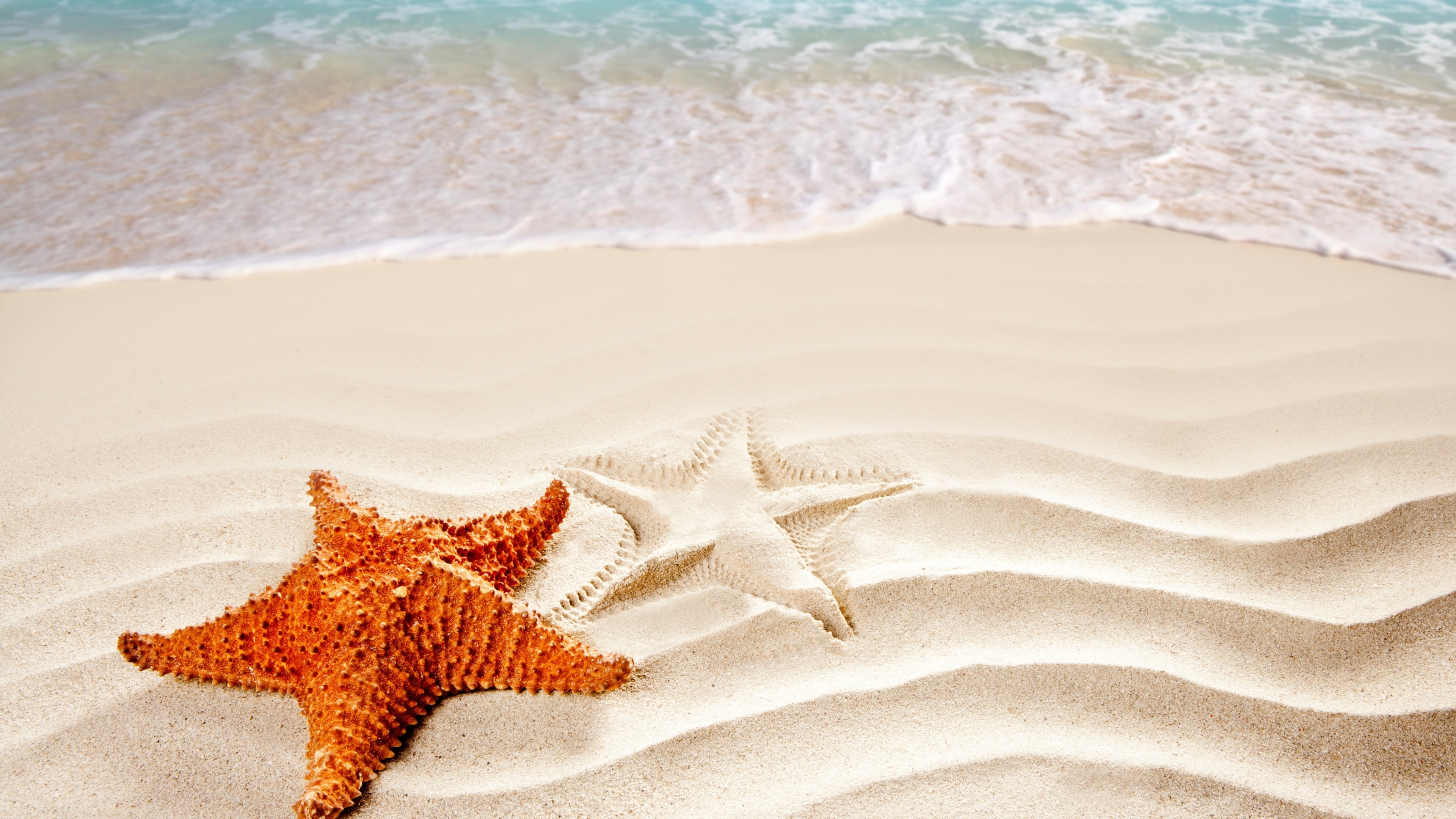 Sea Star: Ocean, Starfish, Shore, Beach, Marine invertebrates. 3840x2160 4K Wallpaper.