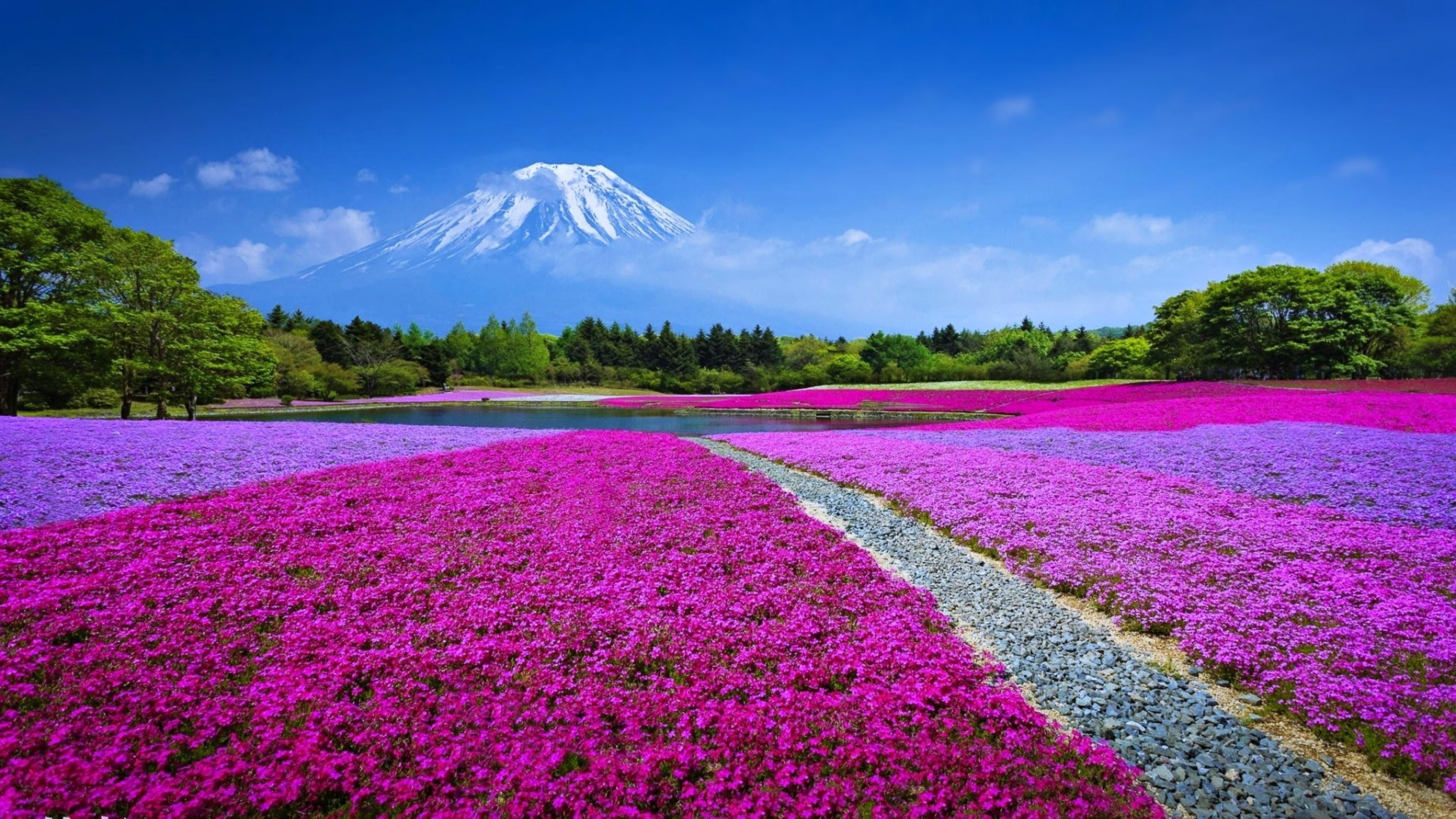 Asia, Landscape sky clouds, Beautiful landscapes, Mount Fuji, 3840x2160 4K Desktop