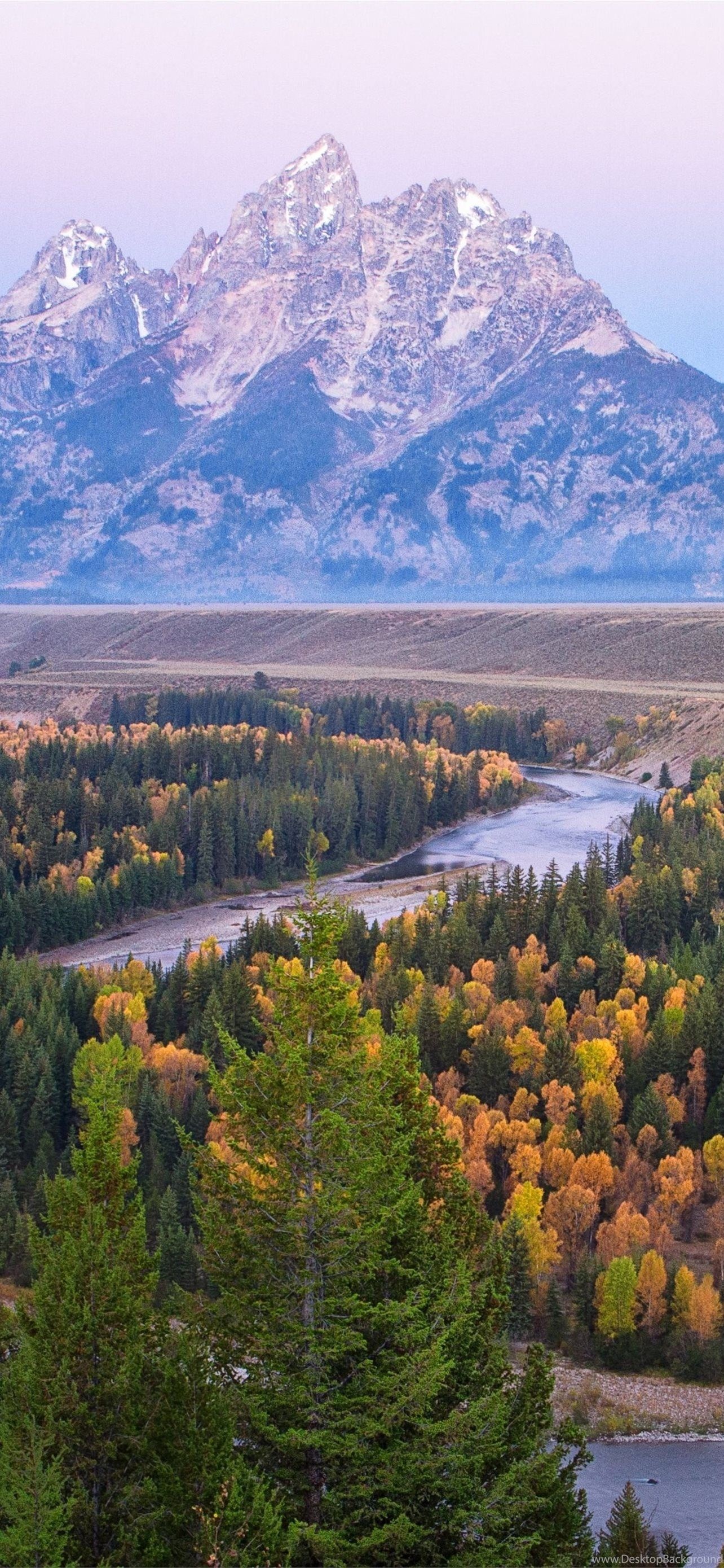 Grand Teton National Park, River trees, Autumn iPhone wallpapers, 1290x2780 HD Phone