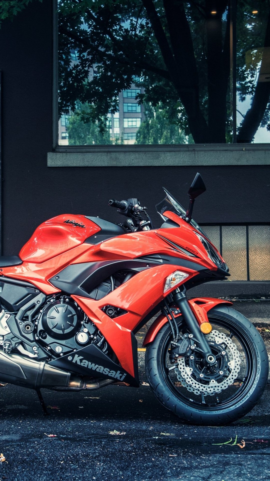 Kawasaki Ninja 650, Powerful street racer, Sleek design, Adrenaline rush, 1080x1920 Full HD Handy