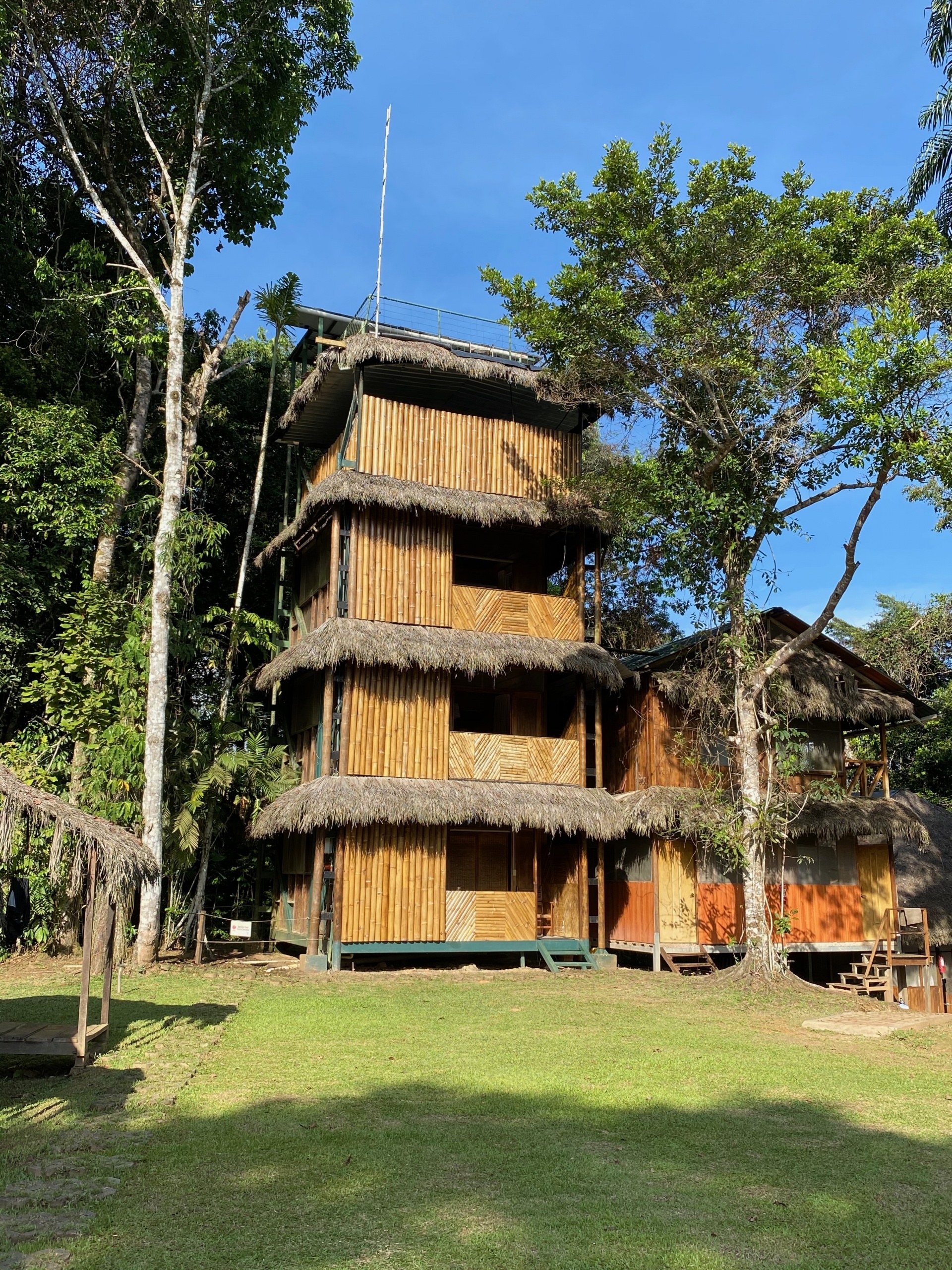 Cuyabeno National Park, Jungle lodge, Rainforest expedition, Ecuadorian adventure, 1920x2560 HD Phone