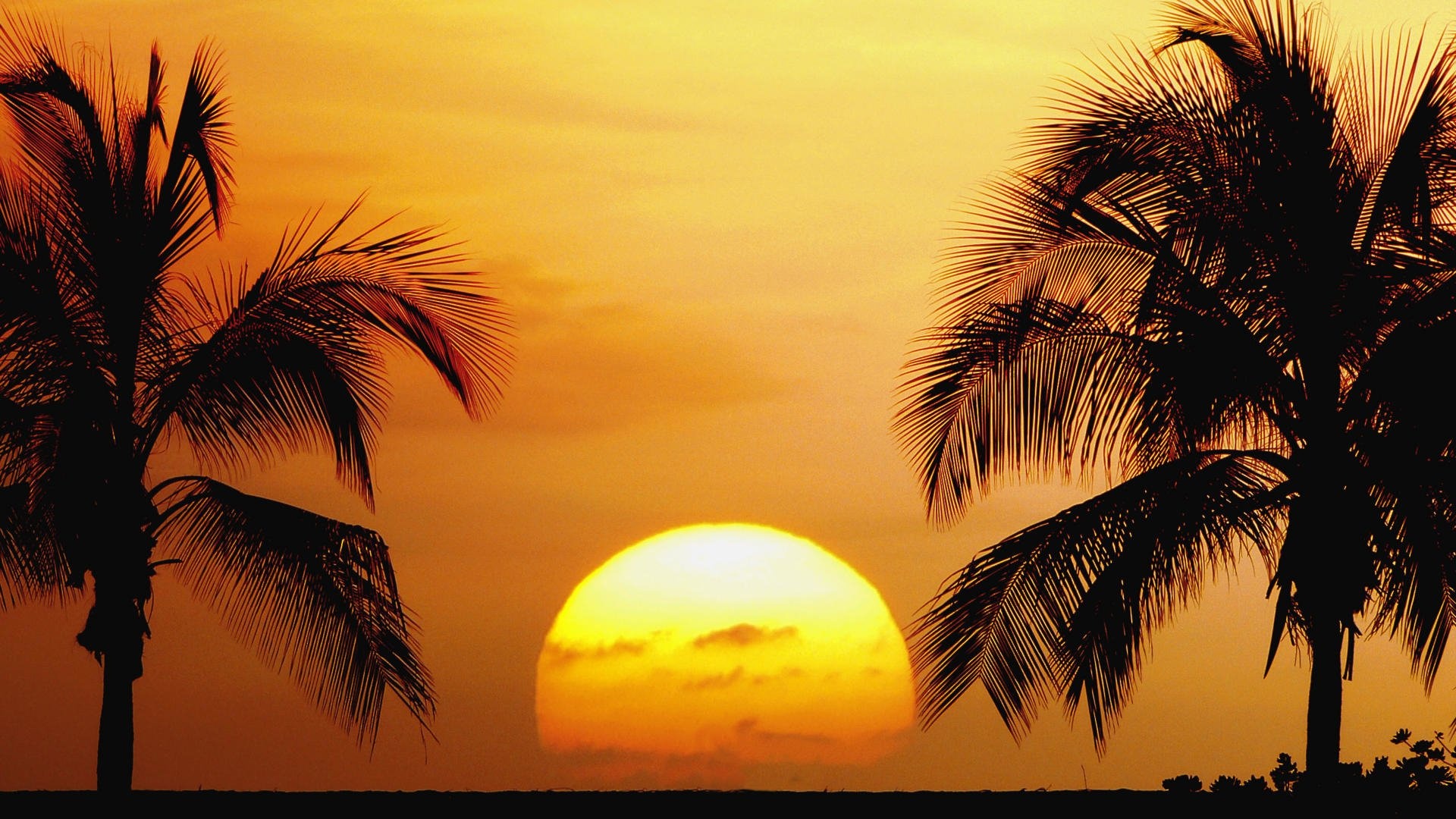Hawaiian Sunset, Mesmerizing views, Golden hour, Tropical paradise, 1920x1080 Full HD Desktop
