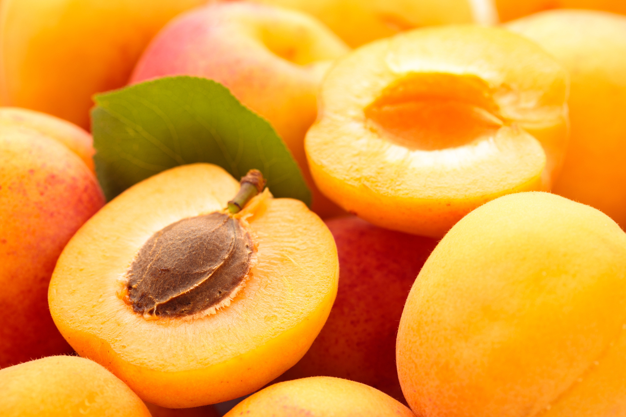 Apricot fruit, Widescreen wallpaper, Baltana, 2050x1370 HD Desktop
