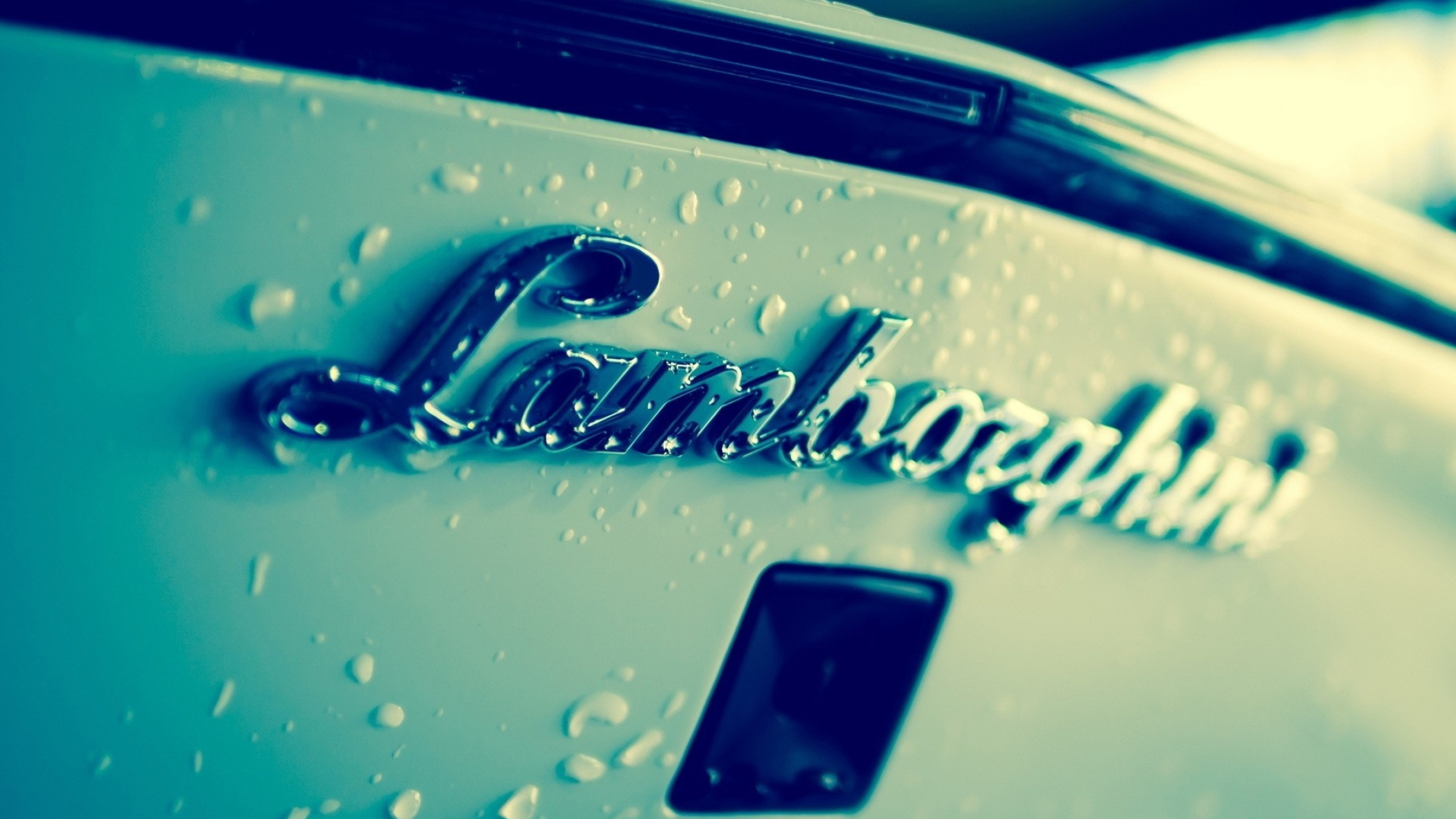 Lamborghini Logo, HD cars, Premium wallpapers, Stunning pictures, 2560x1440 HD Desktop