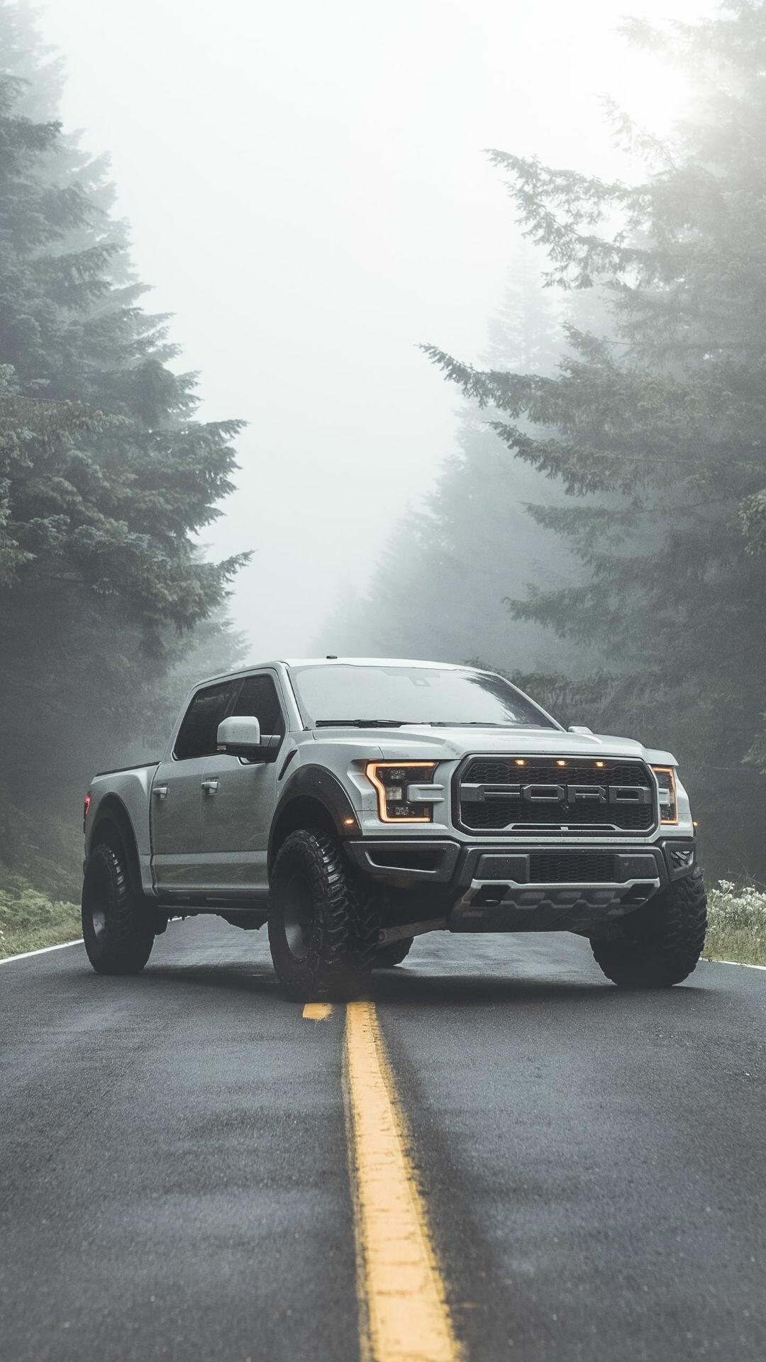Ford: One of the oldest American automobile manufacturers, Raptor. 1080x1920 Full HD Background.