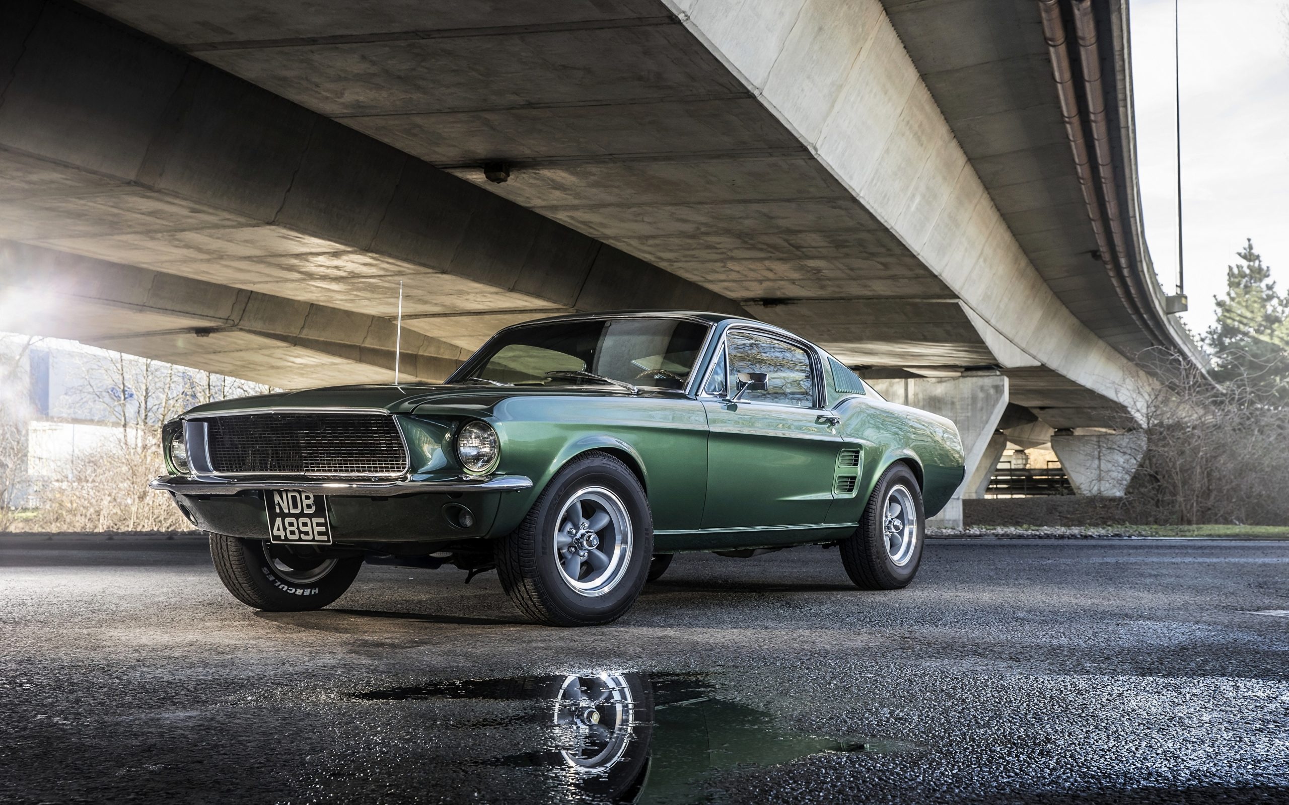 1967 Mustang, Muscle car classic, Iconic design, Vintage Mustang, Auto enthusiast, 2560x1600 HD Desktop