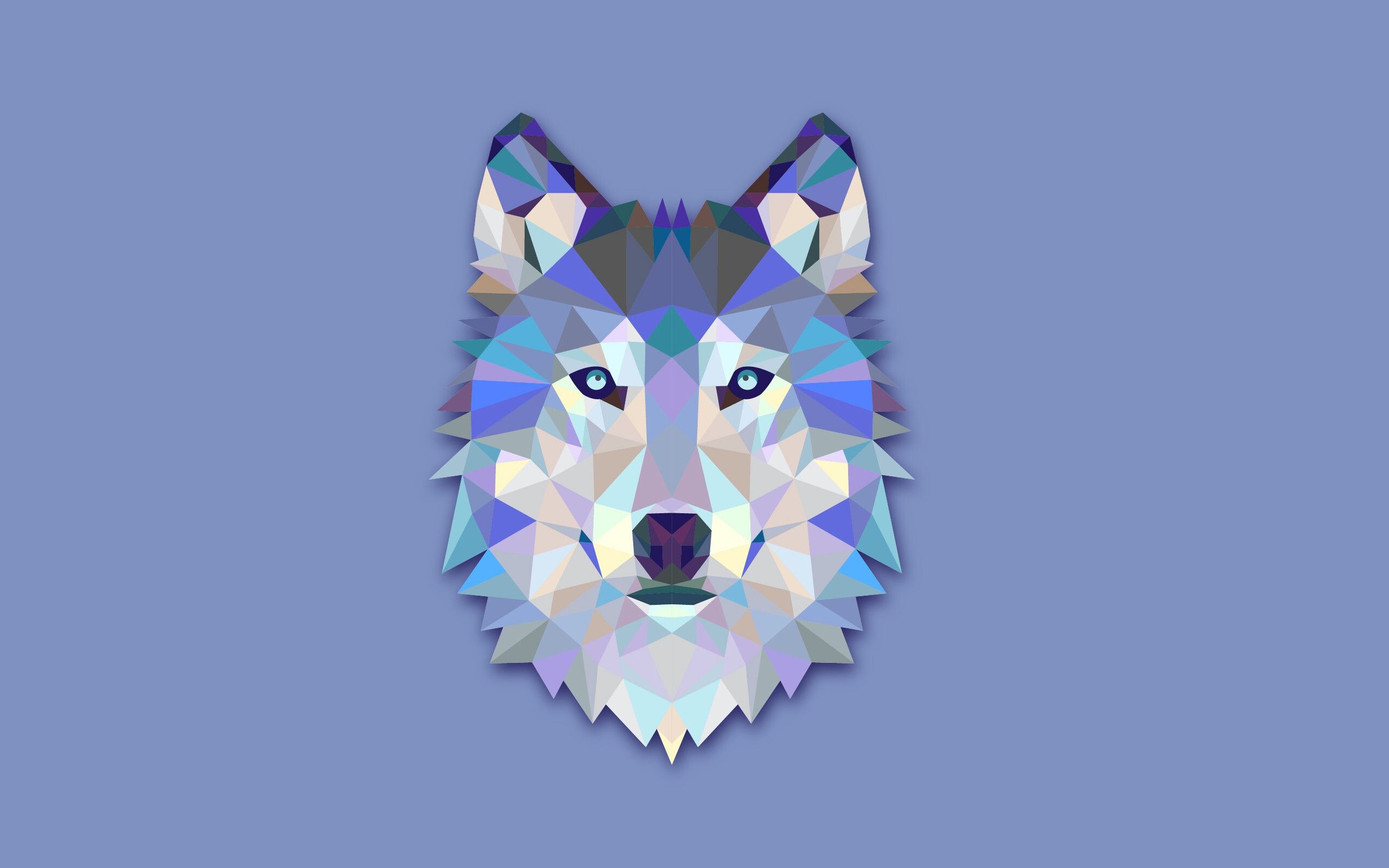 Geometric Animal: Ornament, Triangle, Lines, Colorful abstract polygonal wolf head. 2560x1600 HD Background.