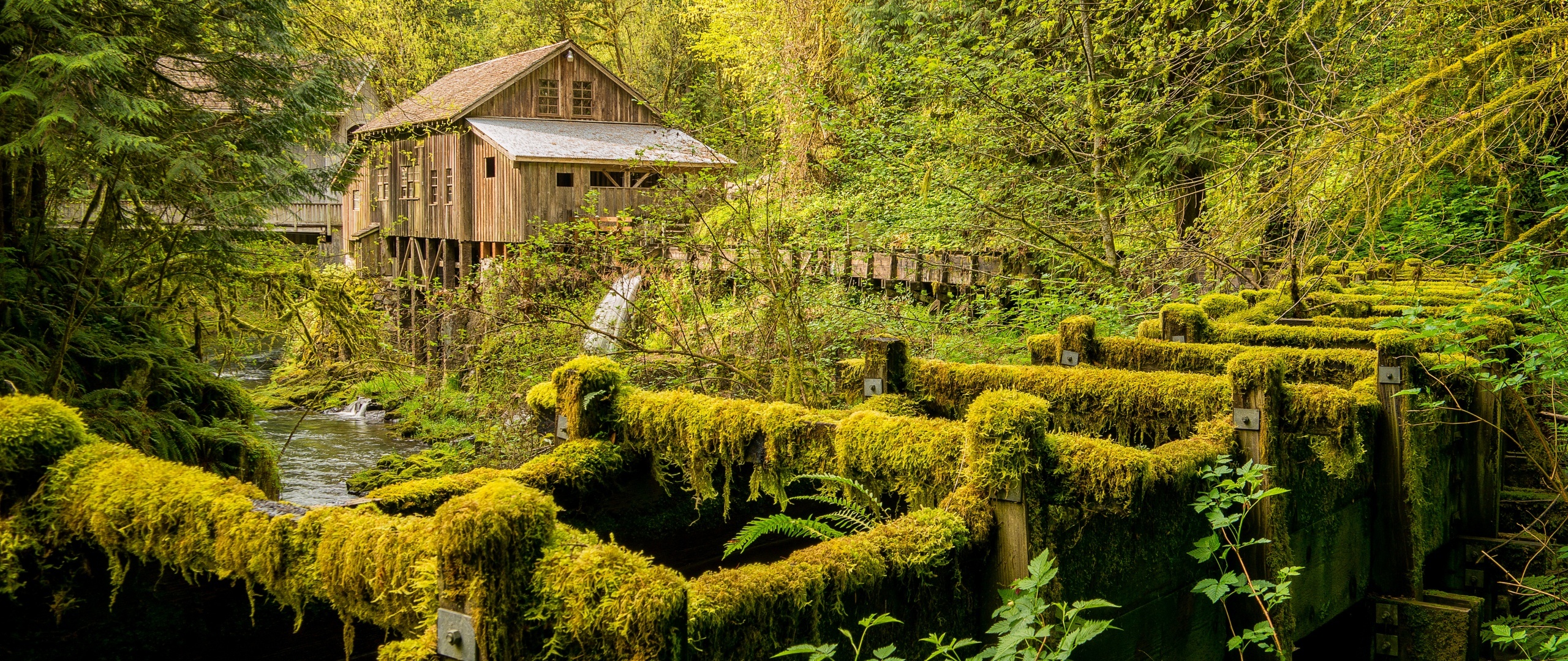 Washington State Travels - Cedar Creek Grist Mill, Forest landscape, 2560x1080 Dual Screen Desktop