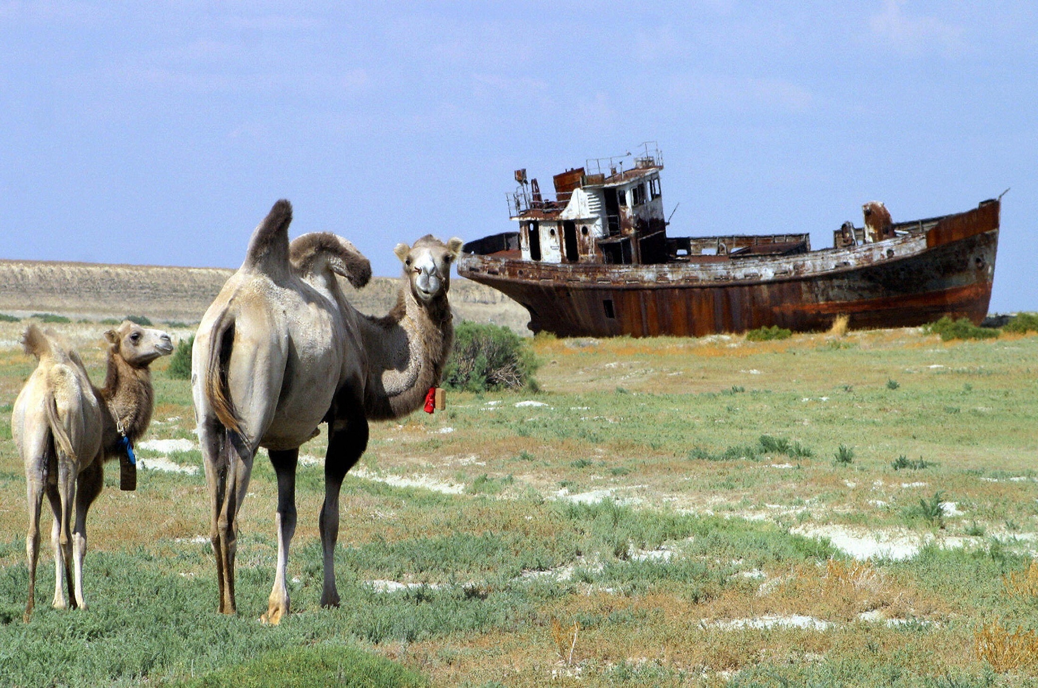 Aral Sea, Youngest desert, Ecological tragedy, Travel news, 2080x1380 HD Desktop
