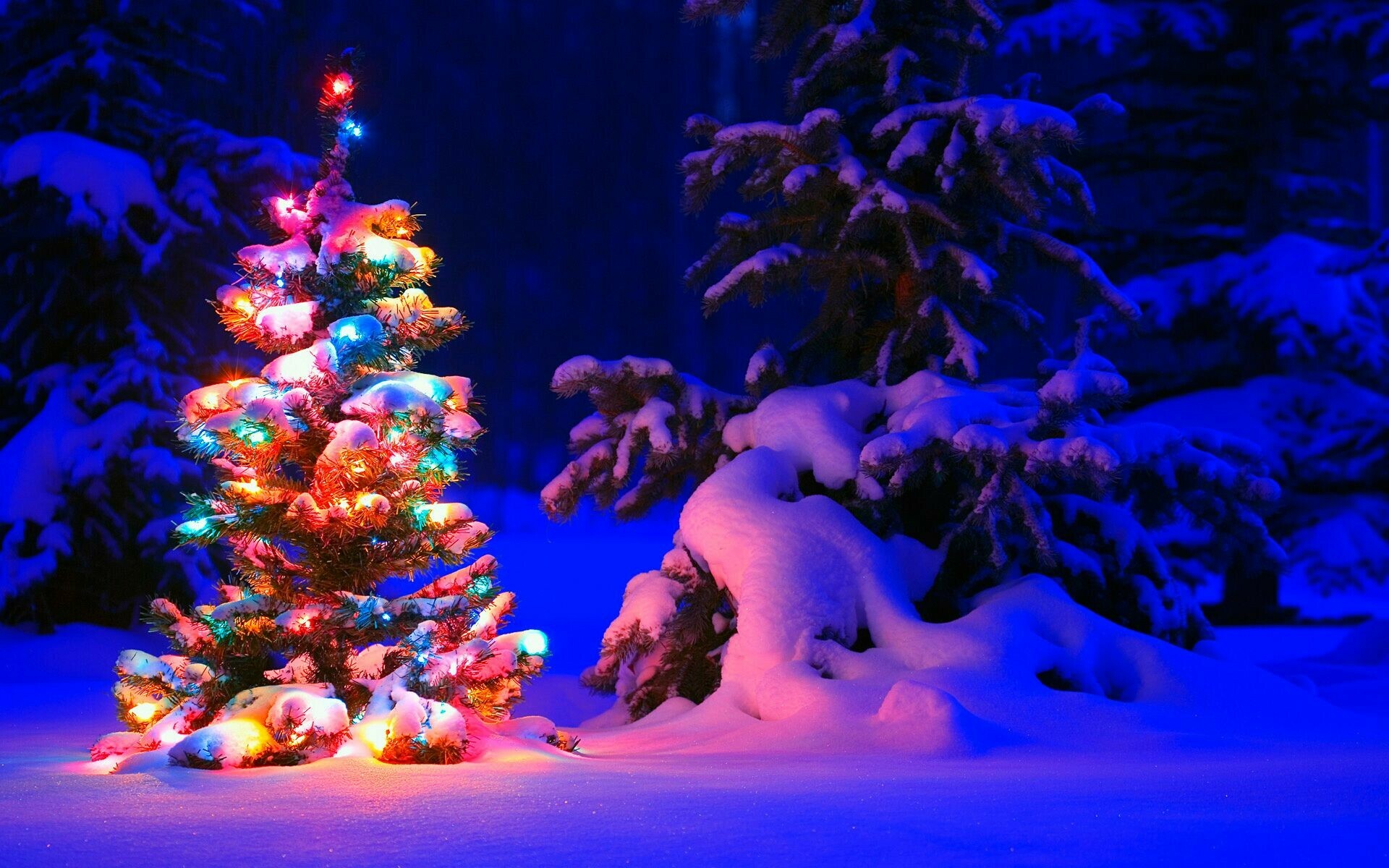 Christmas: Winter holiday, Advent, Christian festival. 1920x1200 HD Background.