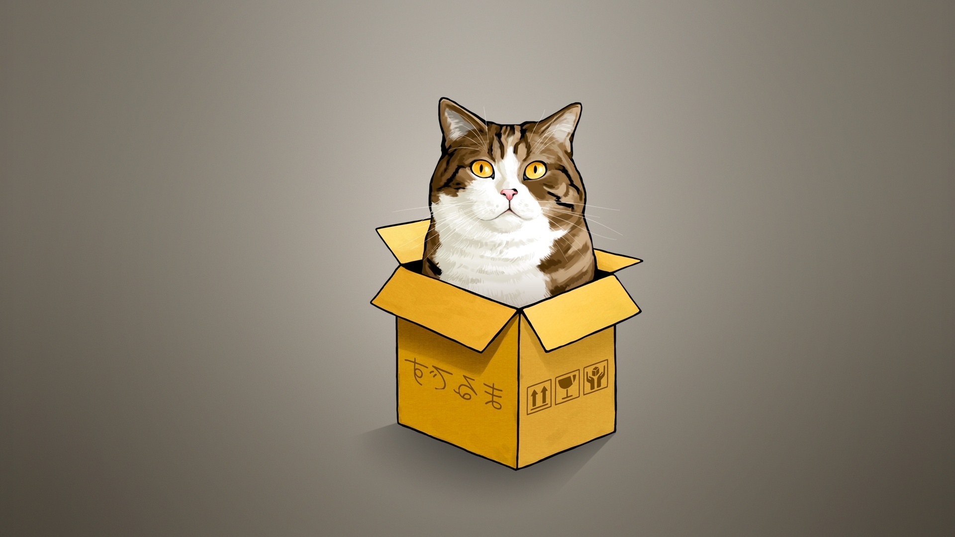 Cat in a box, Desktop and mobile wallpaper, 45 wall in a box wallpaper, Wall sizing, 1920x1080 Full HD Desktop
