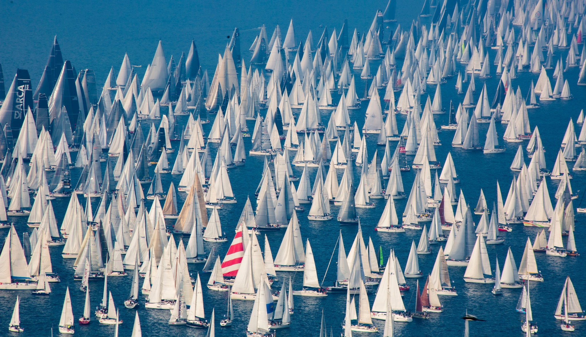 Yacht Racing: Sailboats, Regatta, Windsports, Dinghy sailing, Sailboat tournament. 2050x1180 HD Background.