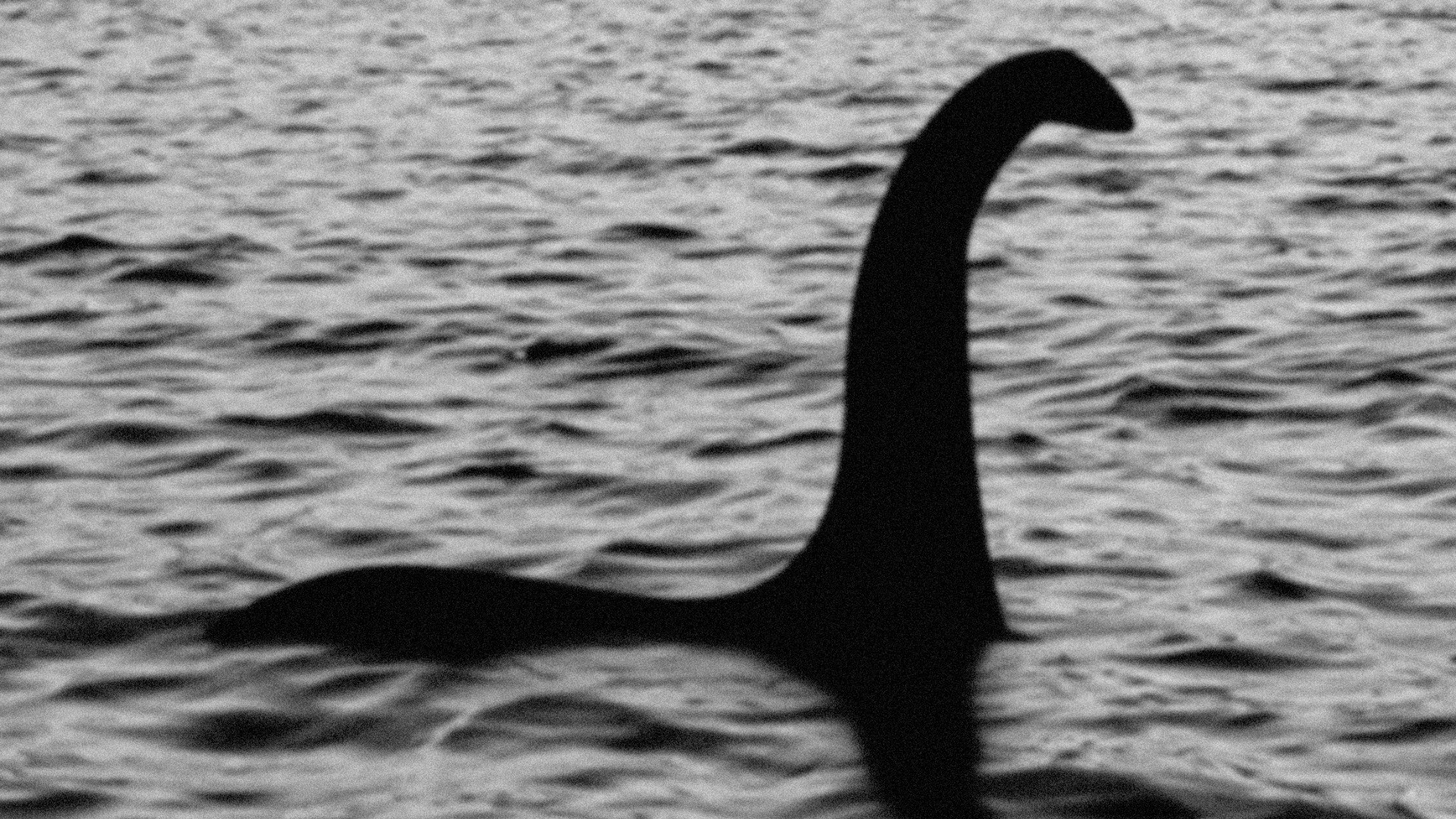 Loch Ness Monster, Wallpapers, Background pictures, Mysterious creature, 1920x1080 Full HD Desktop