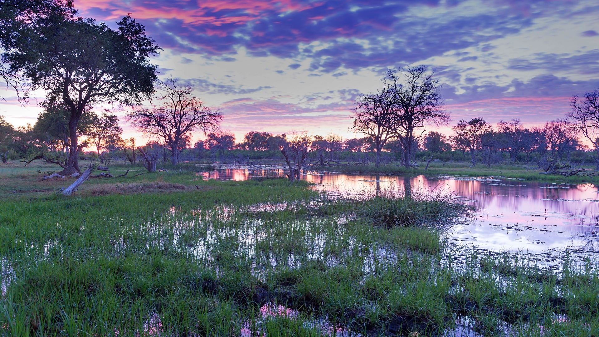 Faszinierende Okavango-Delta-Landschaft, 1920x1080 Full HD Desktop