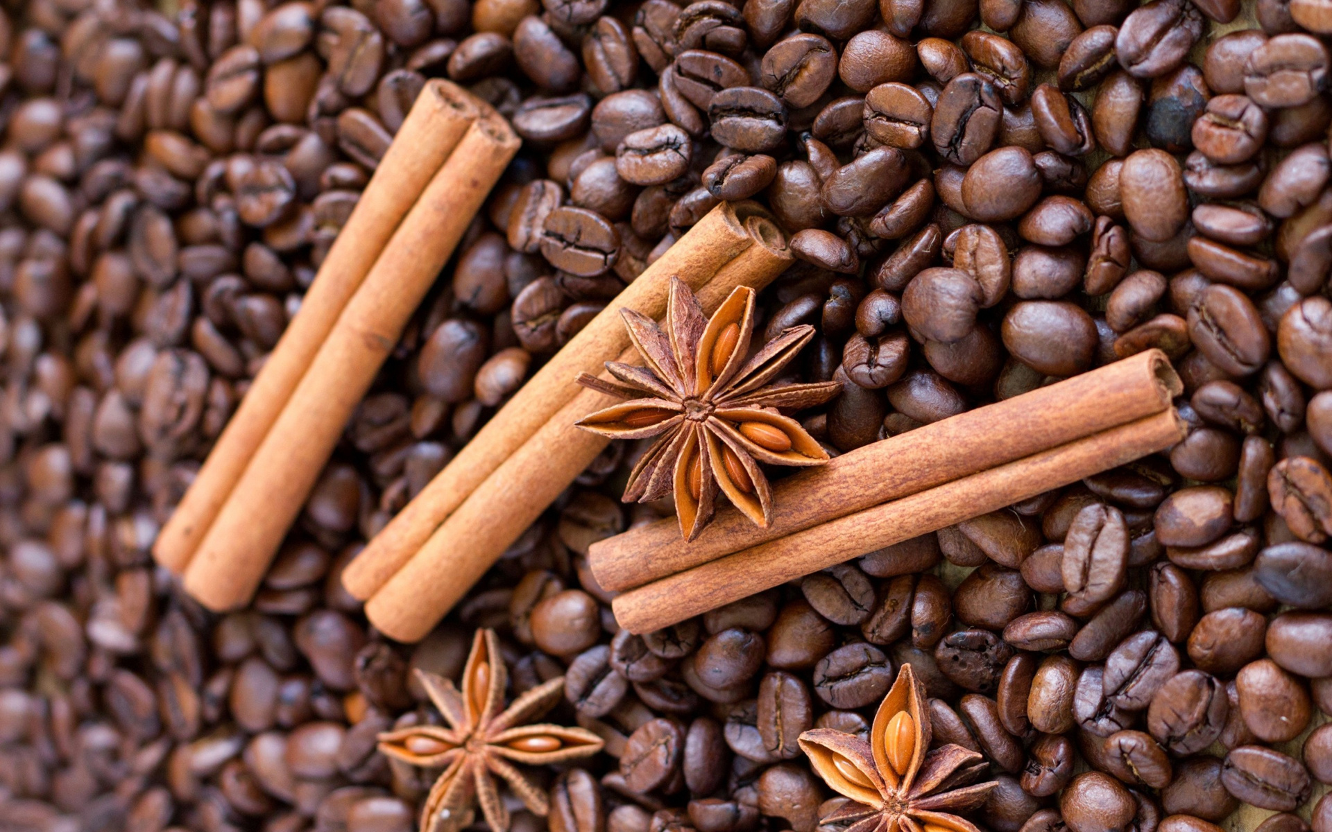 Anise Plant, Macro coffee capture, Cinnamon and star anise, Perfect blend, 1920x1200 HD Desktop