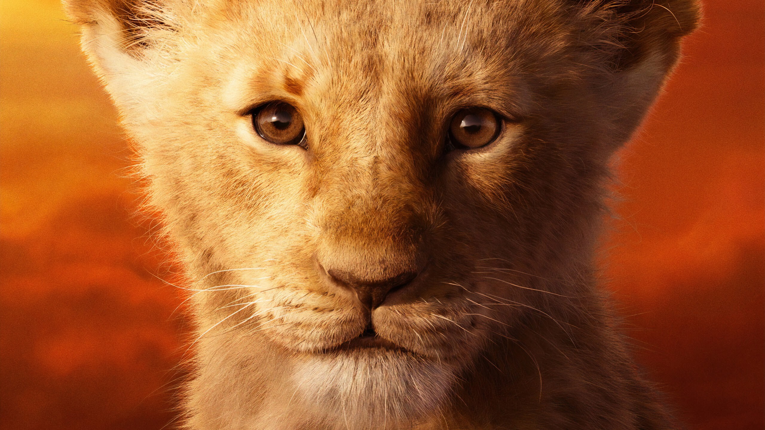 The Lion King: Simba, Destined to be the ruler of his pride. 2560x1440 HD Wallpaper.