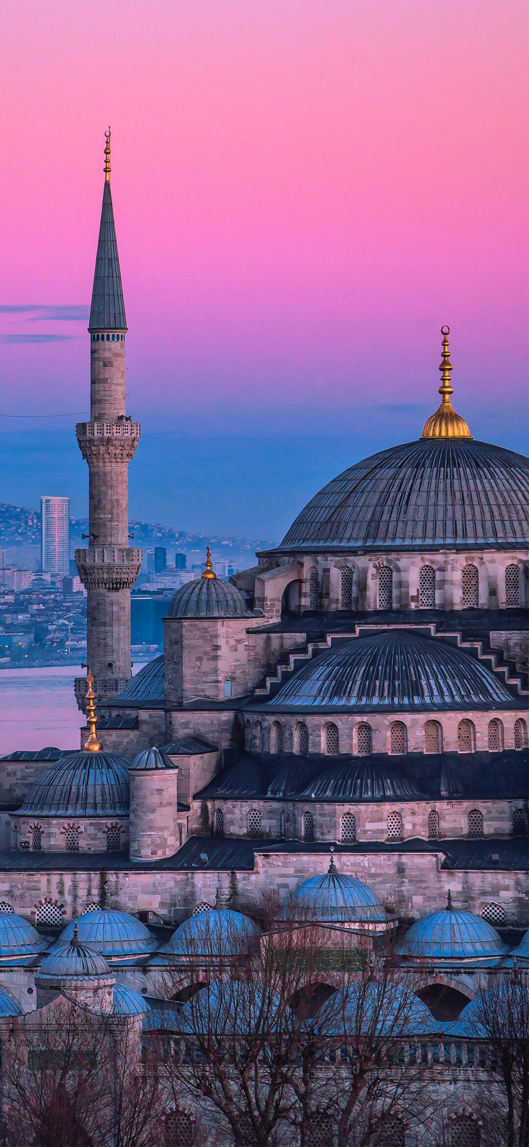 Turkey: Blue Mosque, The modern political system has been dominated by Recep Tayyip Erdogan. 1080x2340 HD Wallpaper.