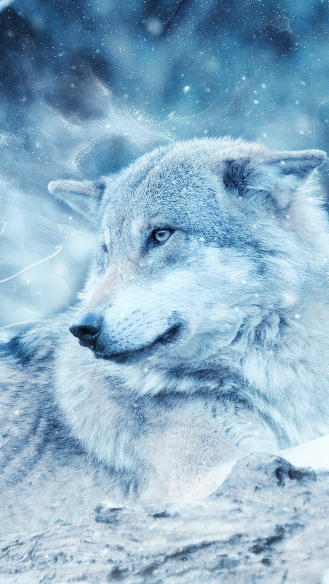 Wolf: Some of the most iconic predators in the animal kingdom, Mammal. 1080x1920 Full HD Wallpaper.