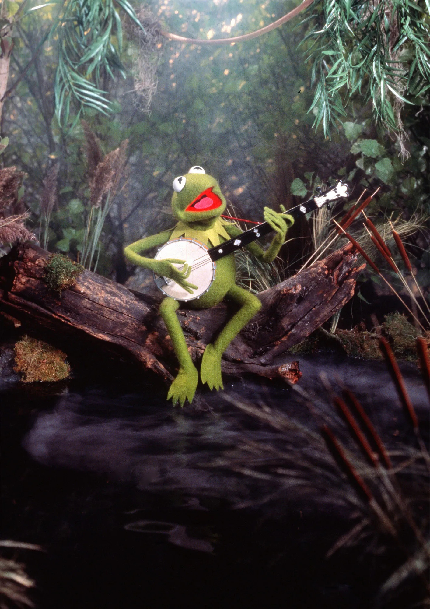 Rainbow Connection, Kermit's message, Musical banjo, Indelible impact, 1420x2000 HD Phone