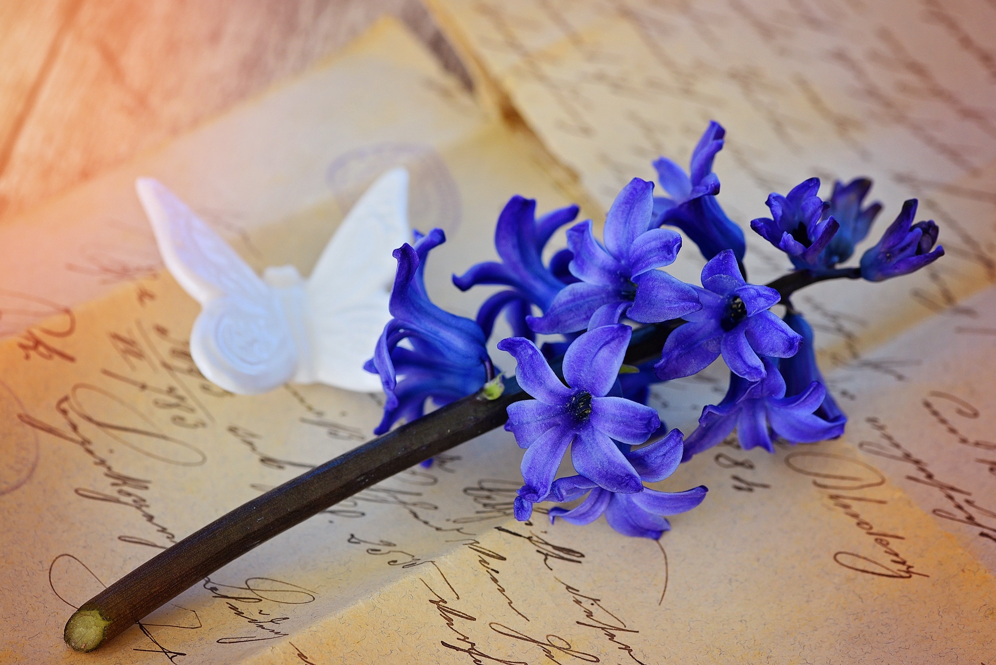 Hyacinth, Nature's beauty, Blue hyacinth bloom, Jooinn, 2000x1340 HD Desktop