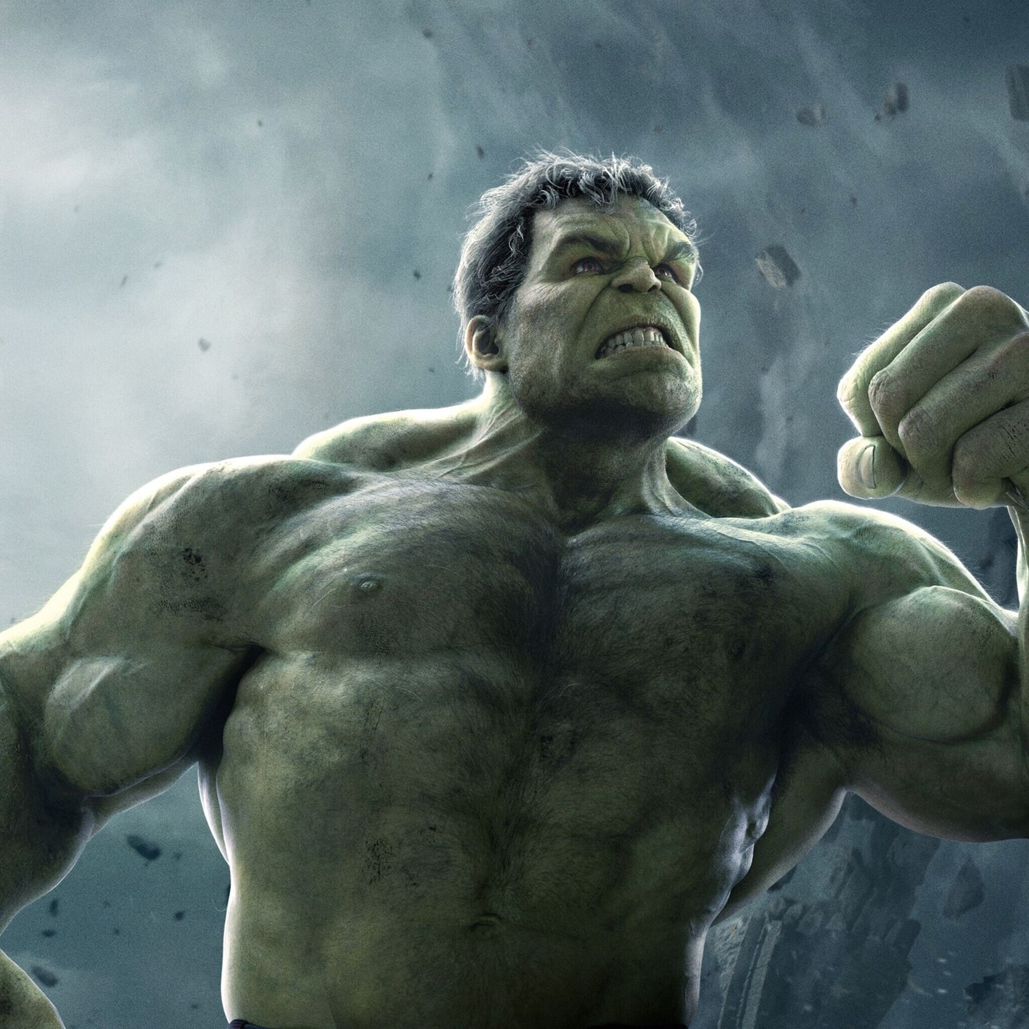 Hulk: Avengers Infinity War, 2018, Mark Ruffalo. 2050x2050 HD Wallpaper.
