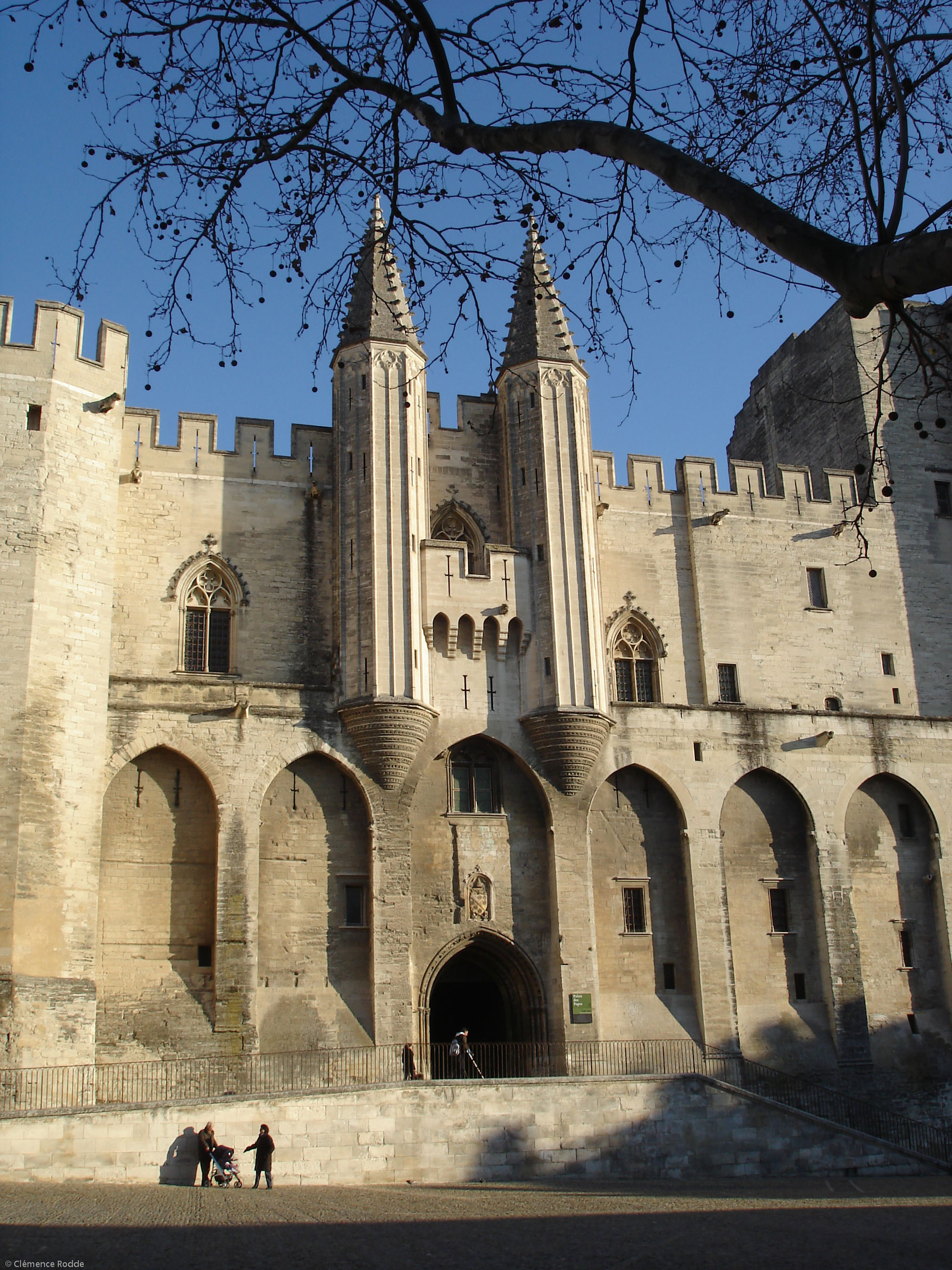 Palace of the Popes, Avignon tourism, Avignon sightseeing, Avignon attractions, 1950x2600 HD Phone