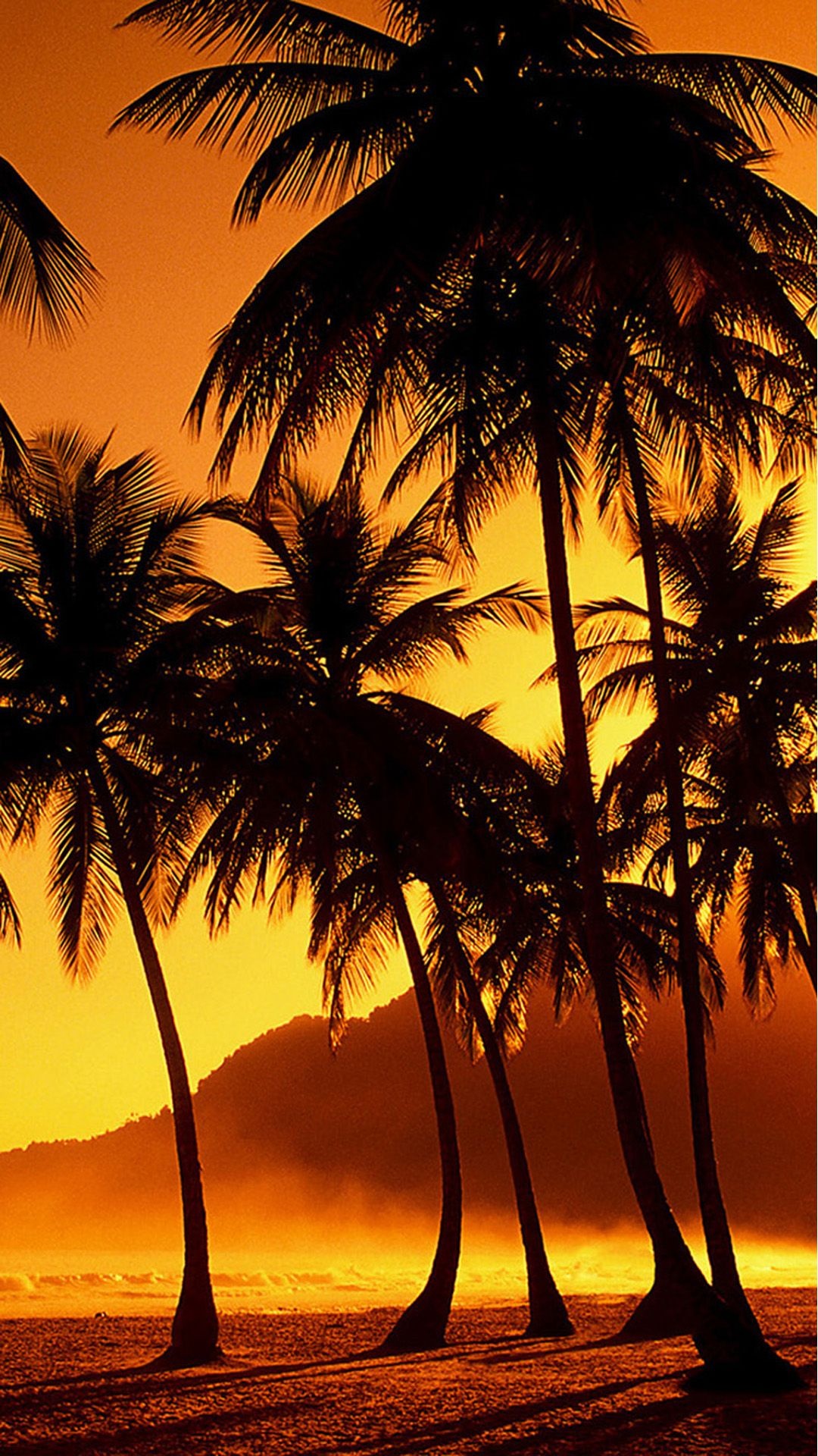 Sunset beach wallpaper, Coconut grove scenery, iPhone wallpaper, Hawaiian paradise, 1080x1920 Full HD Phone