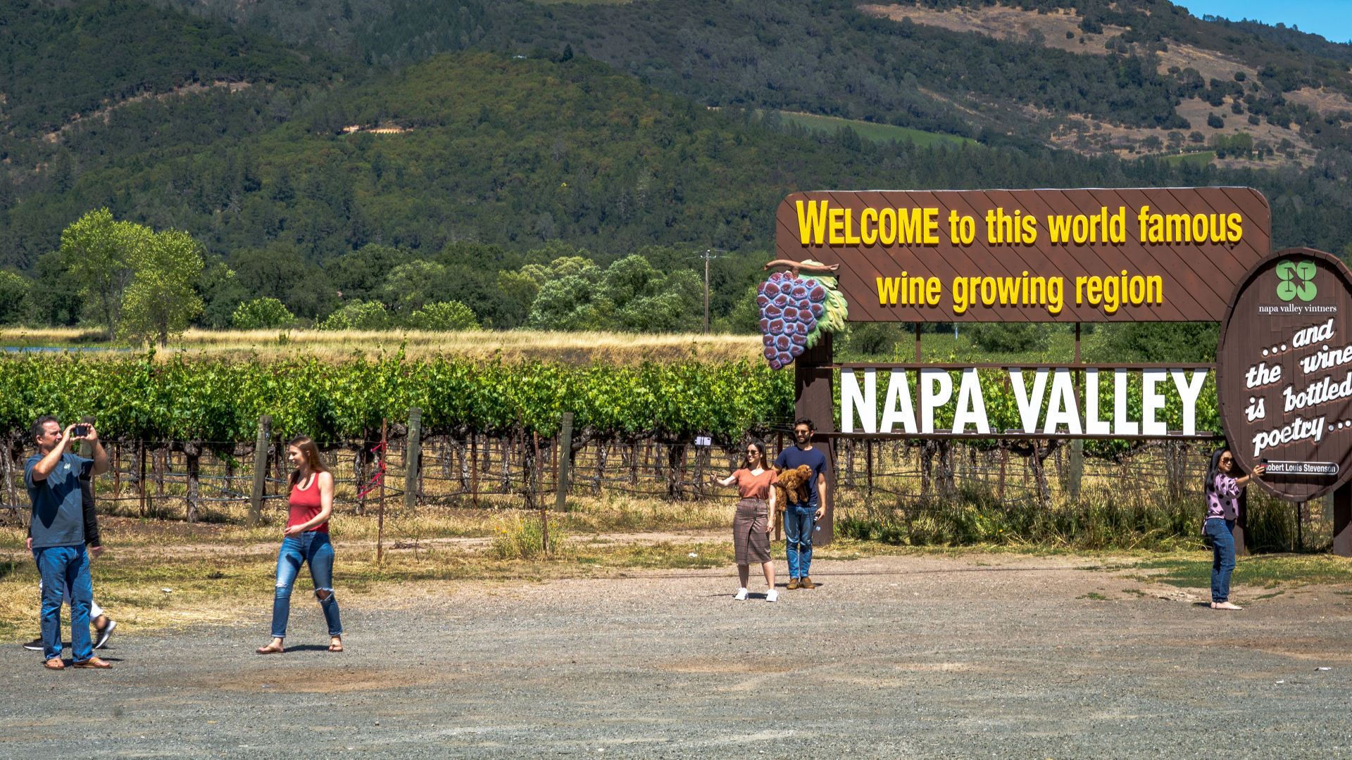 Napa County reopening, Buzzing businesses, Local news, Community revival, 1920x1080 Full HD Desktop