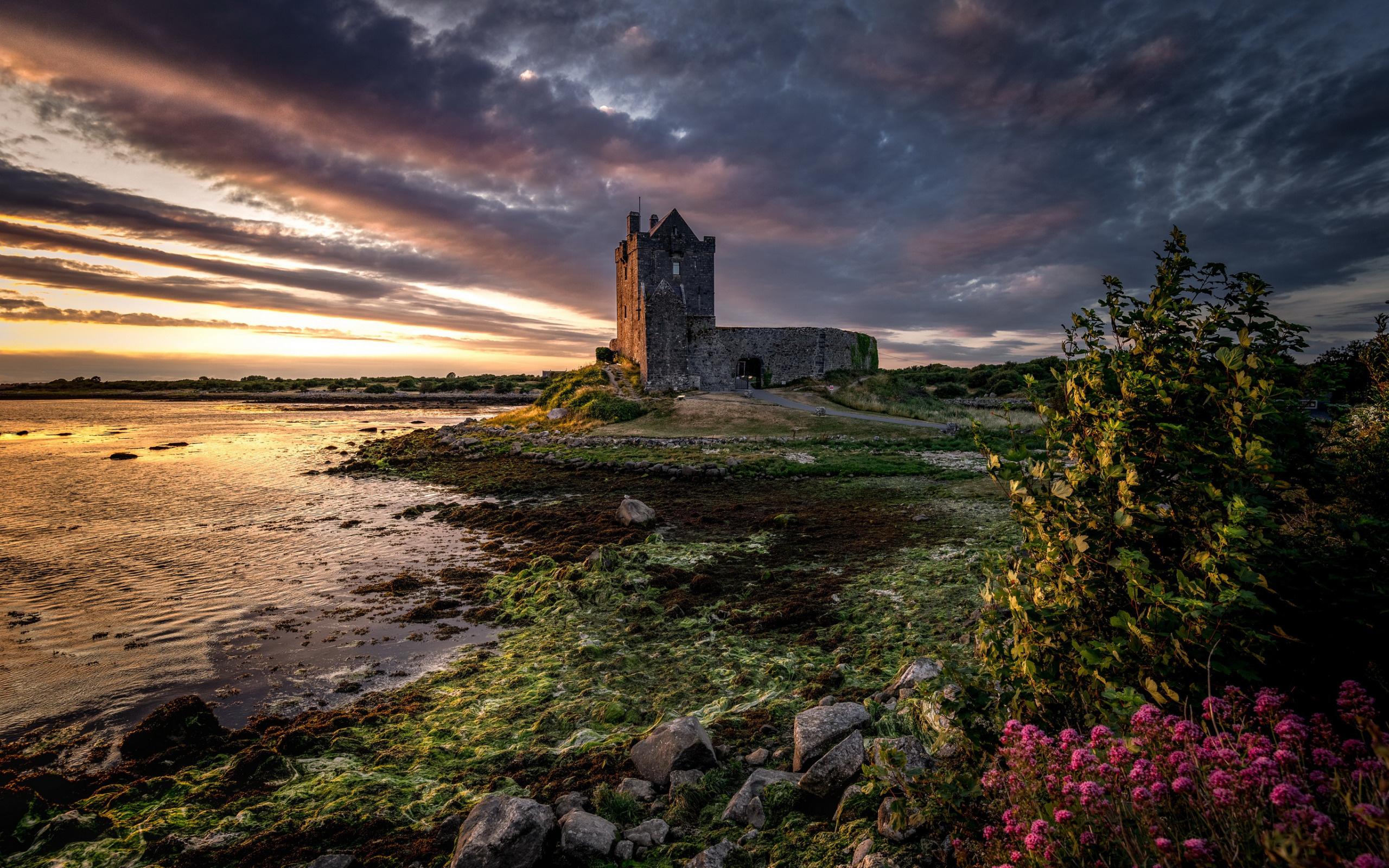 Dunguaire Castle, Stone Fortress, County Galway Ireland, 2560x1600 HD Desktop
