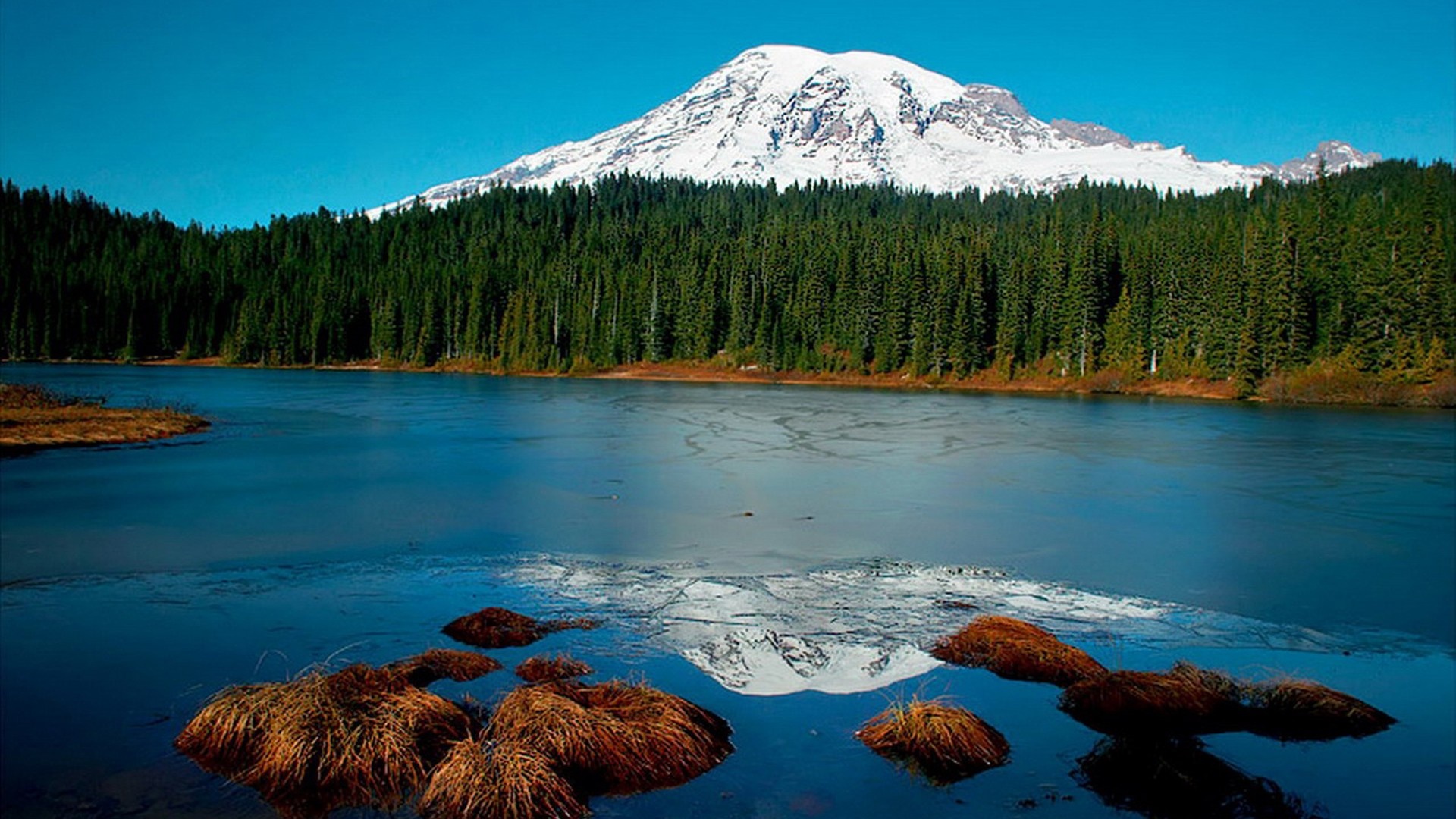 Mount Rainier, Nature's wonderland, Snowy mountains, Serene forests, 1920x1080 Full HD Desktop