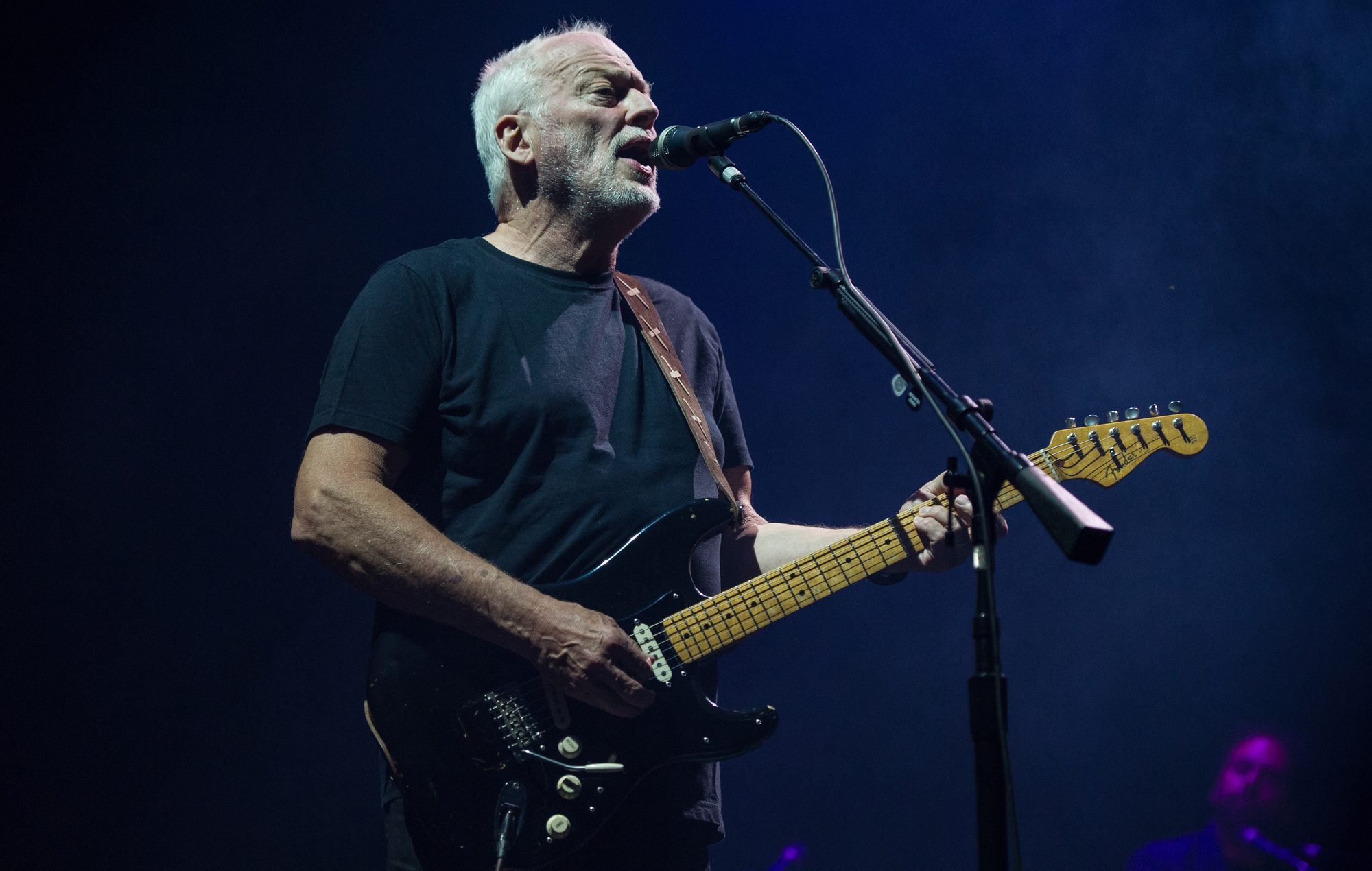 David Gilmour, Festival memories, Live at Pompeii, South Orlando Dental Implants, 2000x1270 HD Desktop