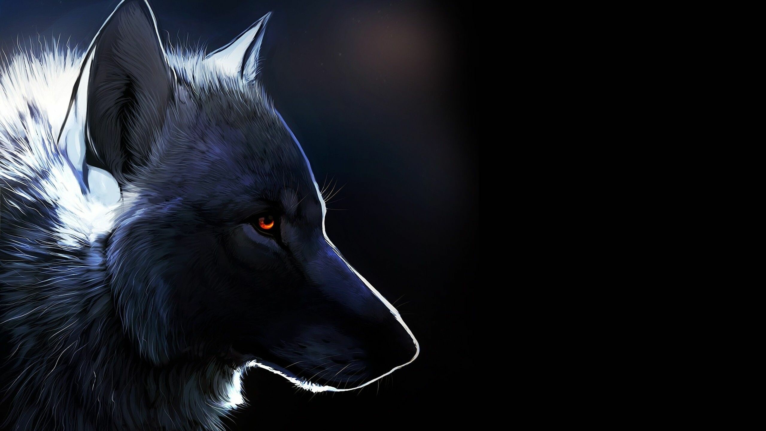 Wolf: Wolves usually have some hairs that are white, brown, gray, and black. 2560x1440 HD Wallpaper.