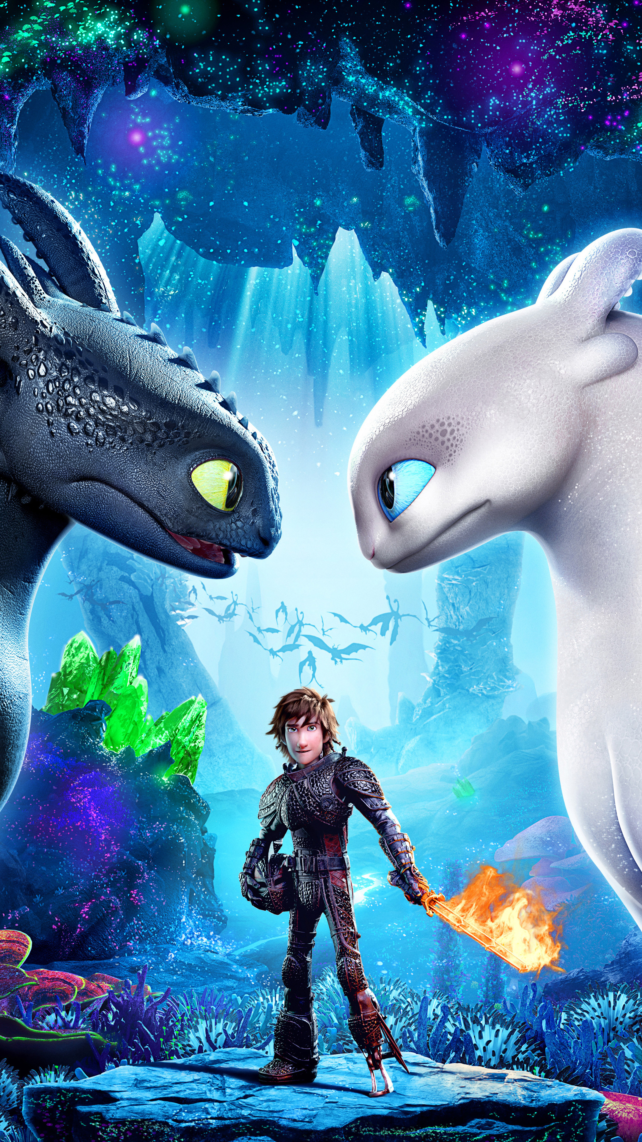 How to Train Your Dragon, Hidden world movie poster, Sony Xperia wallpapers, HD 4K, 2160x3840 4K Phone