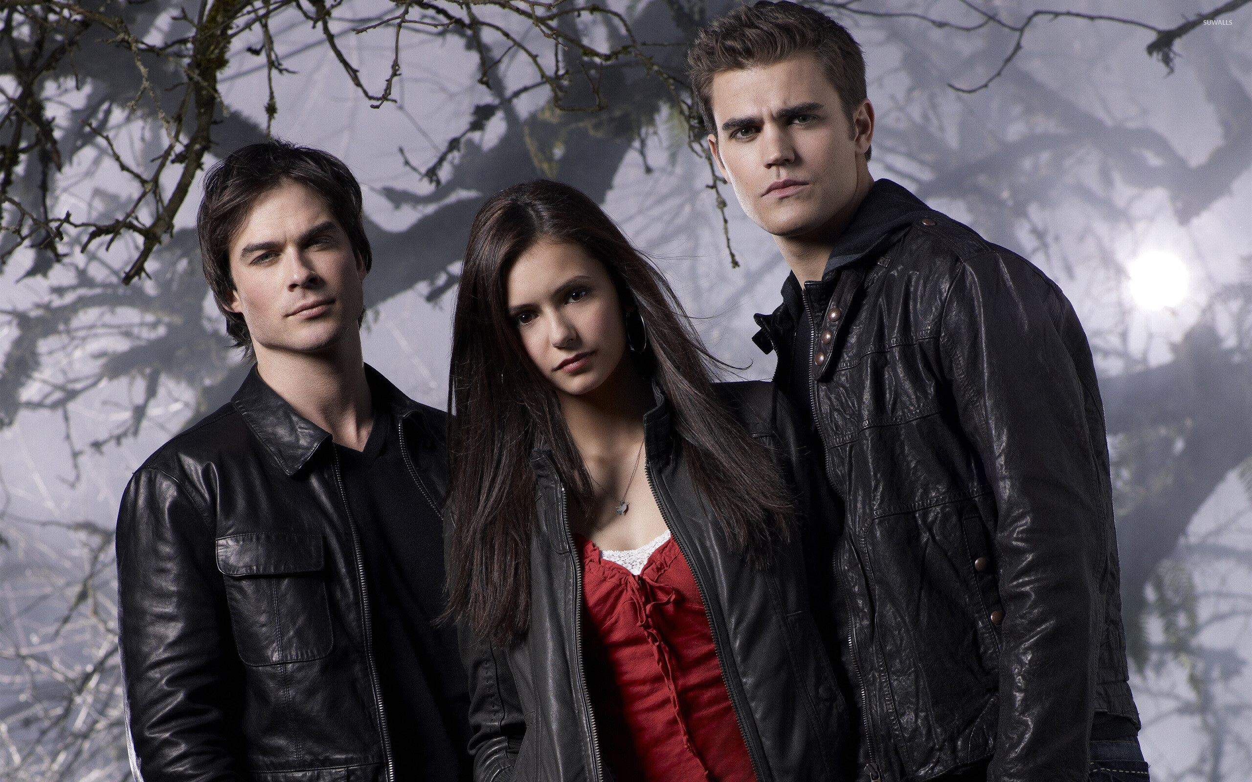 The Vampire Diaries (TV Series): Love Triangle, Fictional Characters Of The Novel by American Author L. J. Smith. 2560x1600 HD Wallpaper.