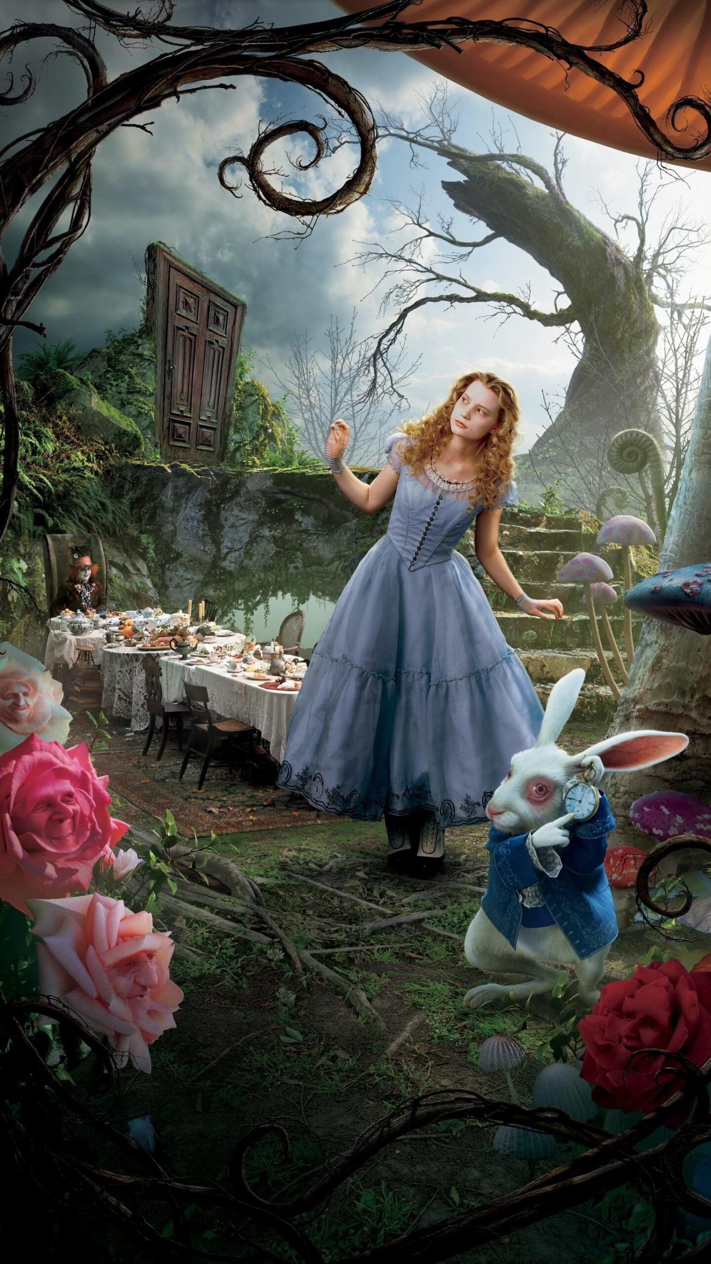 Mia Wasikowska, Movies, Characters, Wonderland, 1440x2560 HD Phone