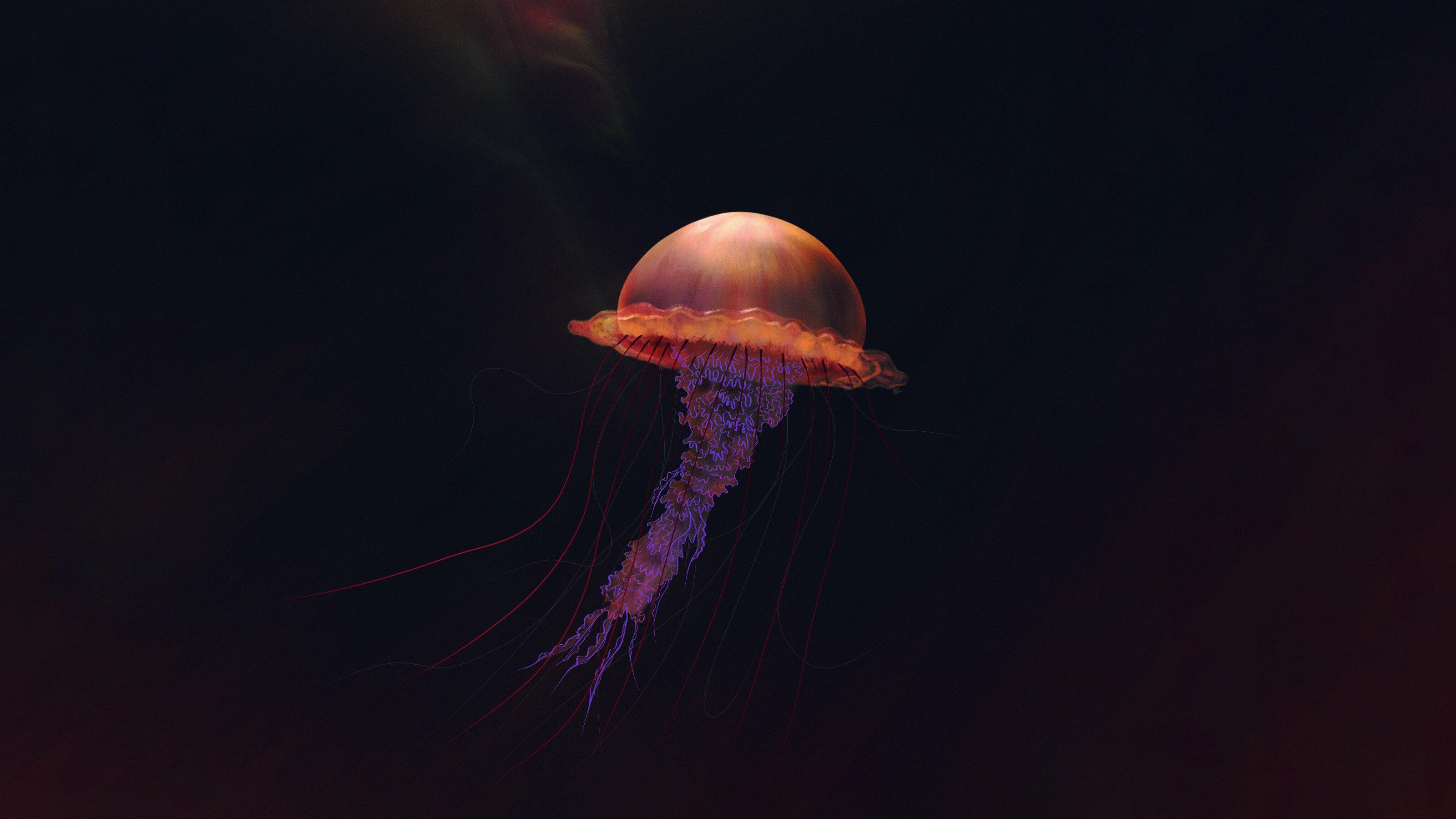 Illustrated jellyfish, Artistic representations, HD wallpapers, Creativity unleashed, 3200x1800 HD Desktop